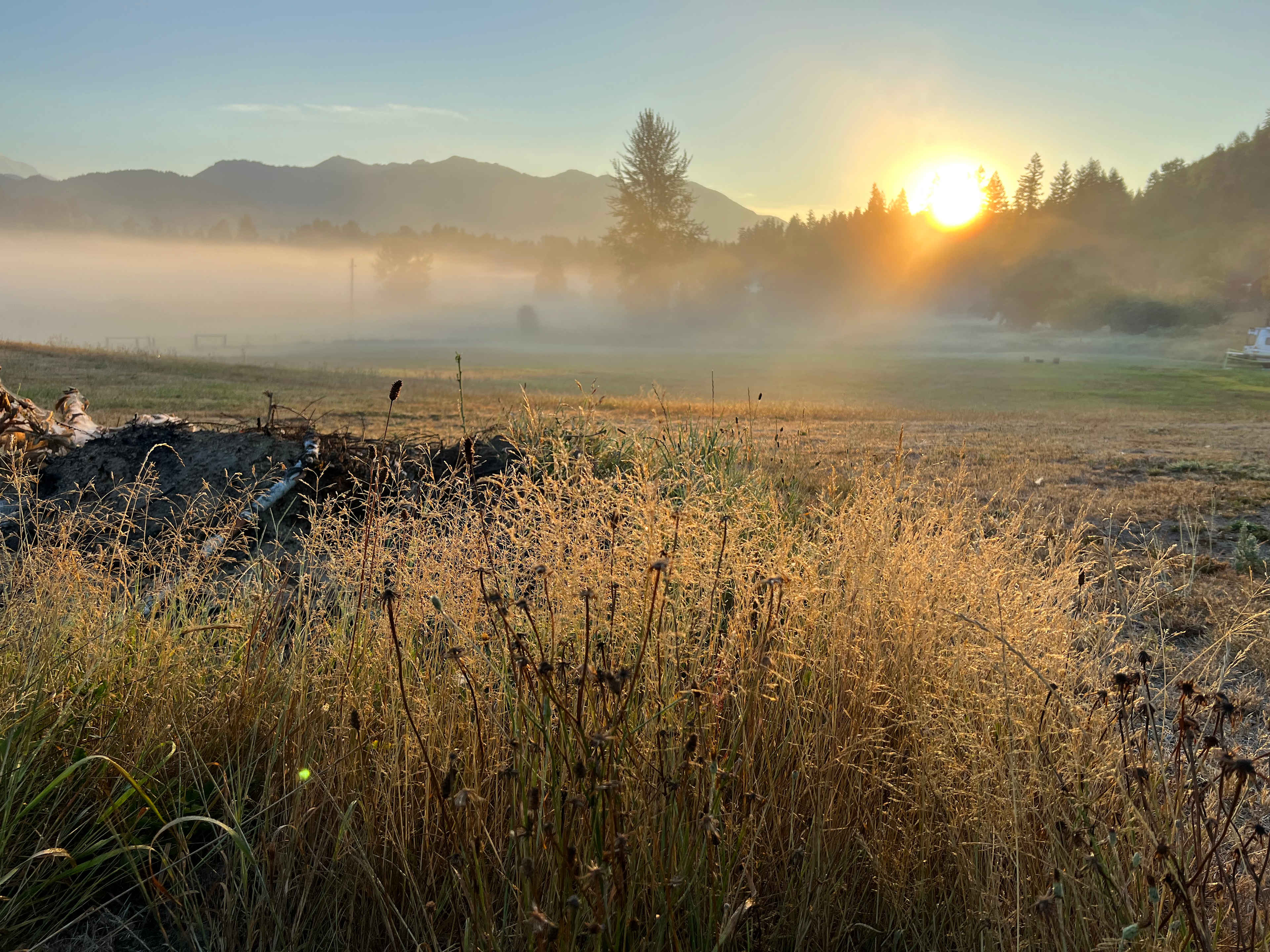 Painter’s Paradise