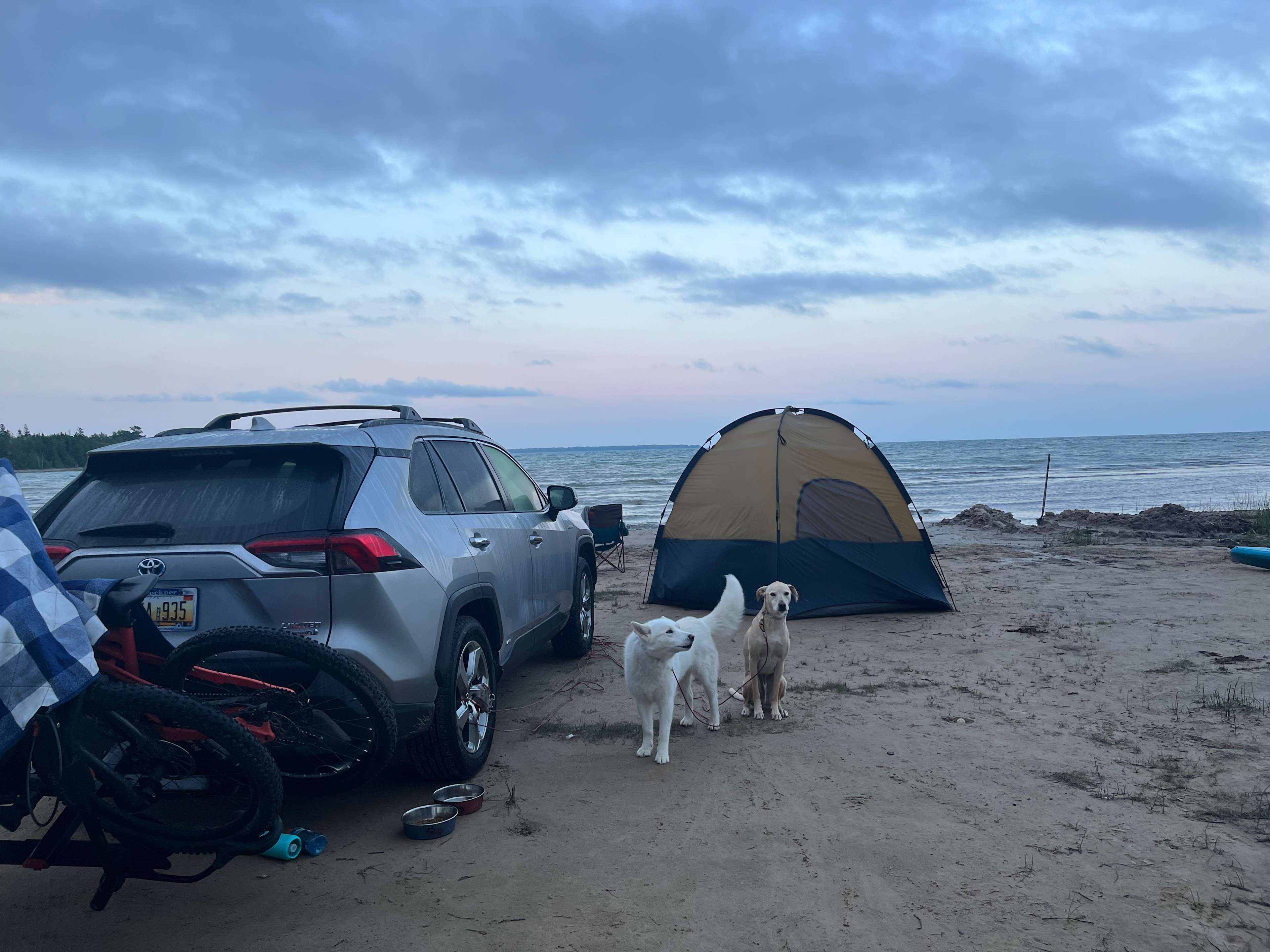 Just Show Up Camping