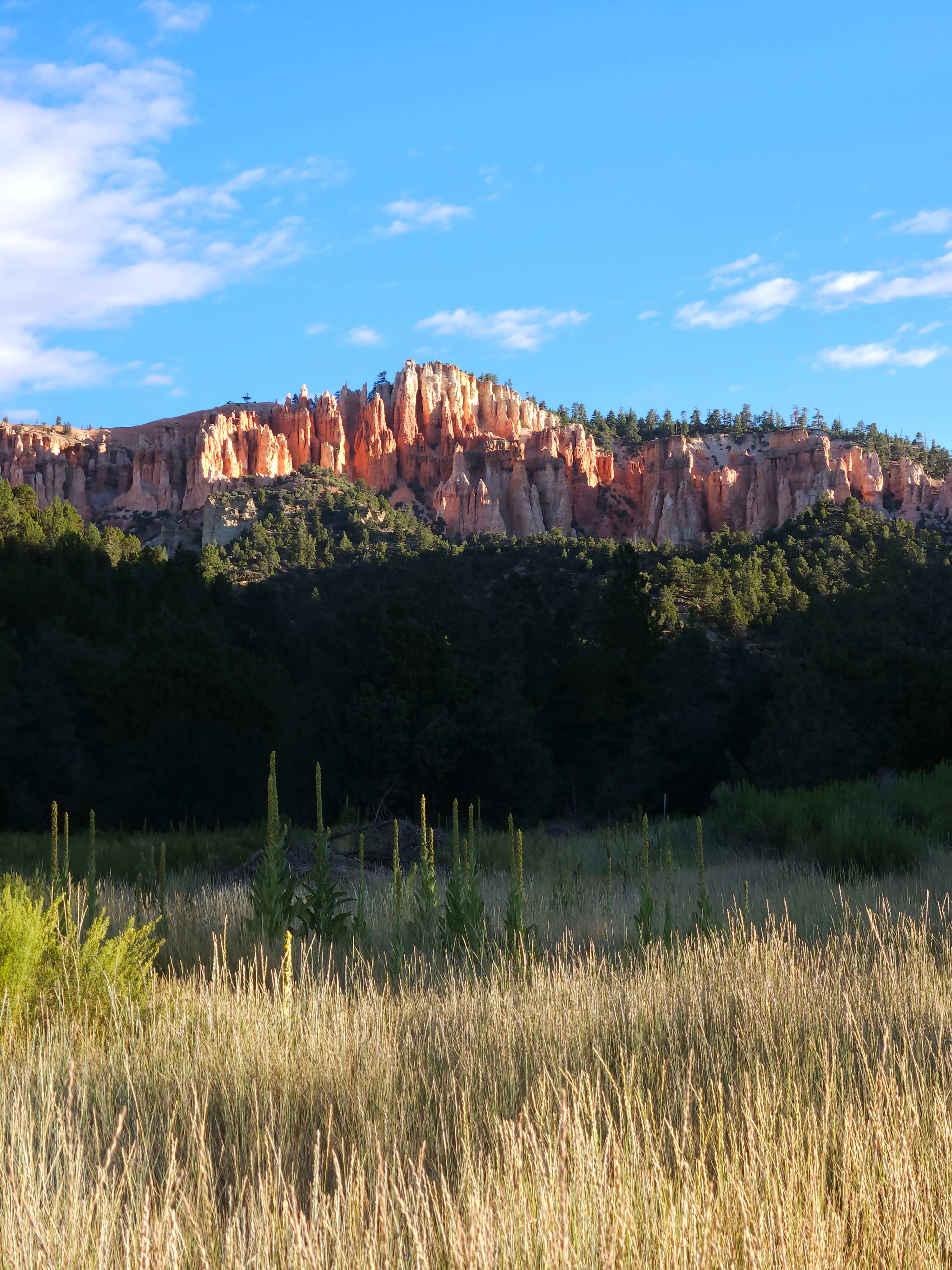 Bryce Zion Campground