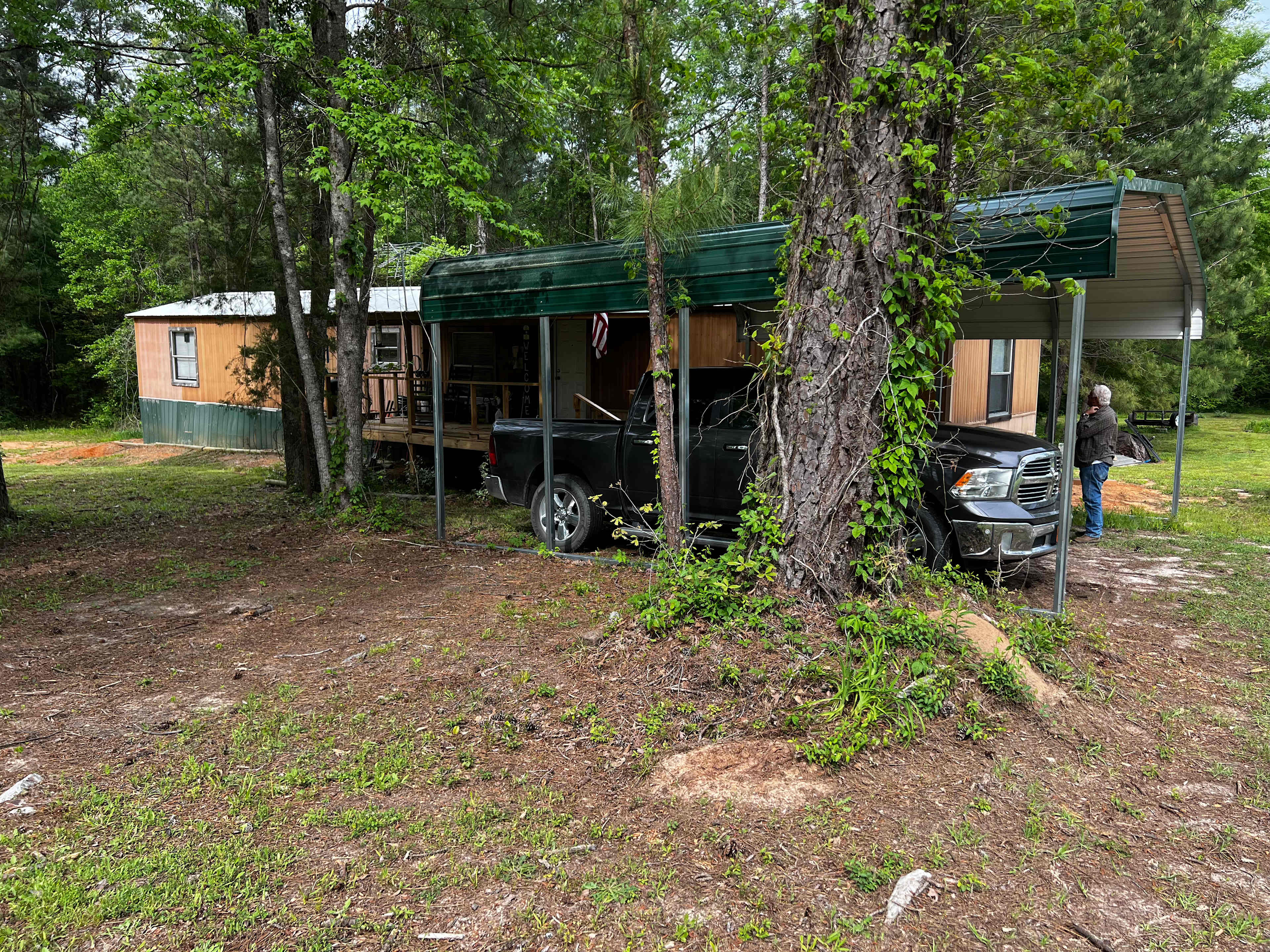 Barbara Ann's Land