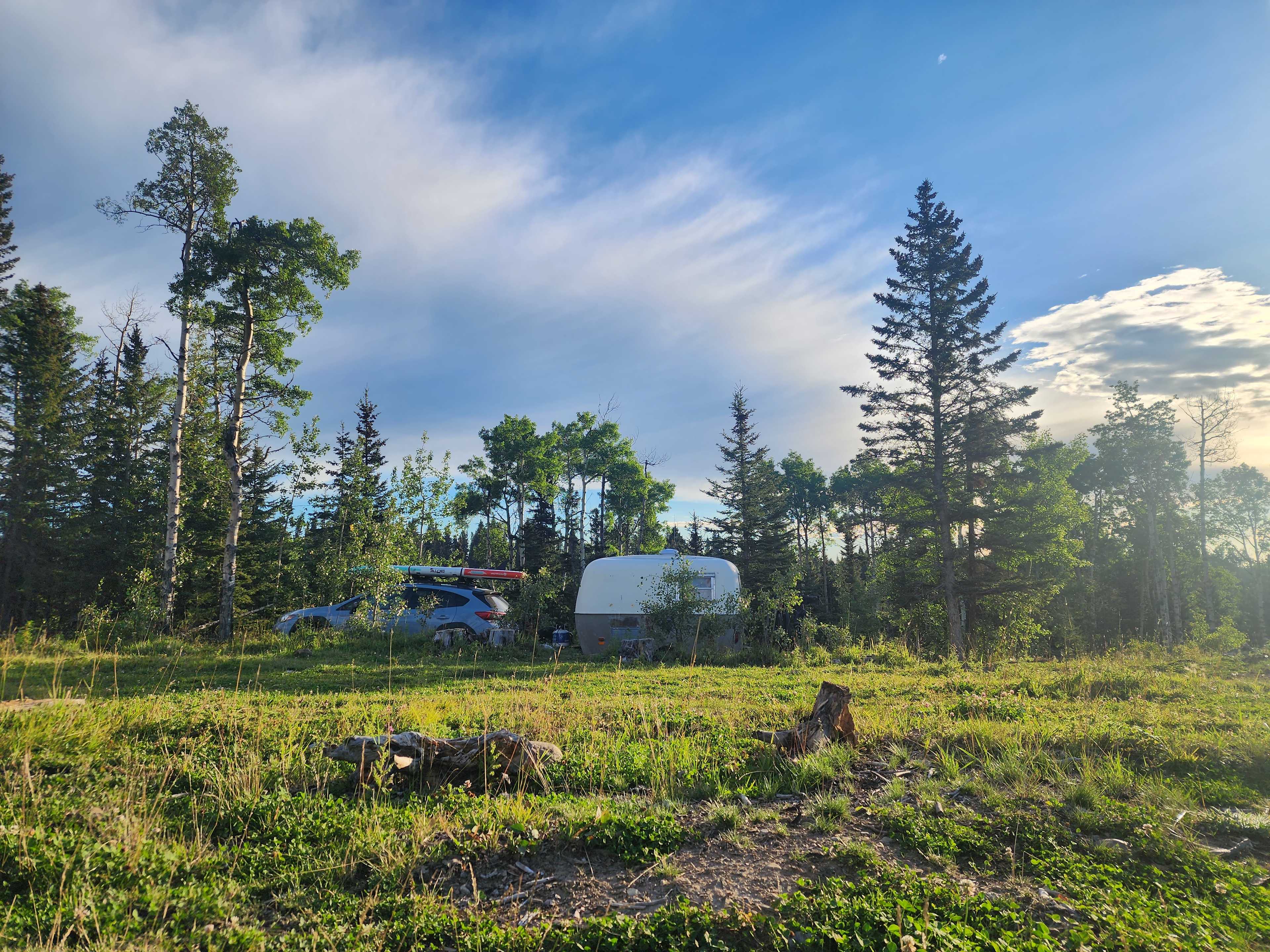 Cattle Ranch in the Foothills