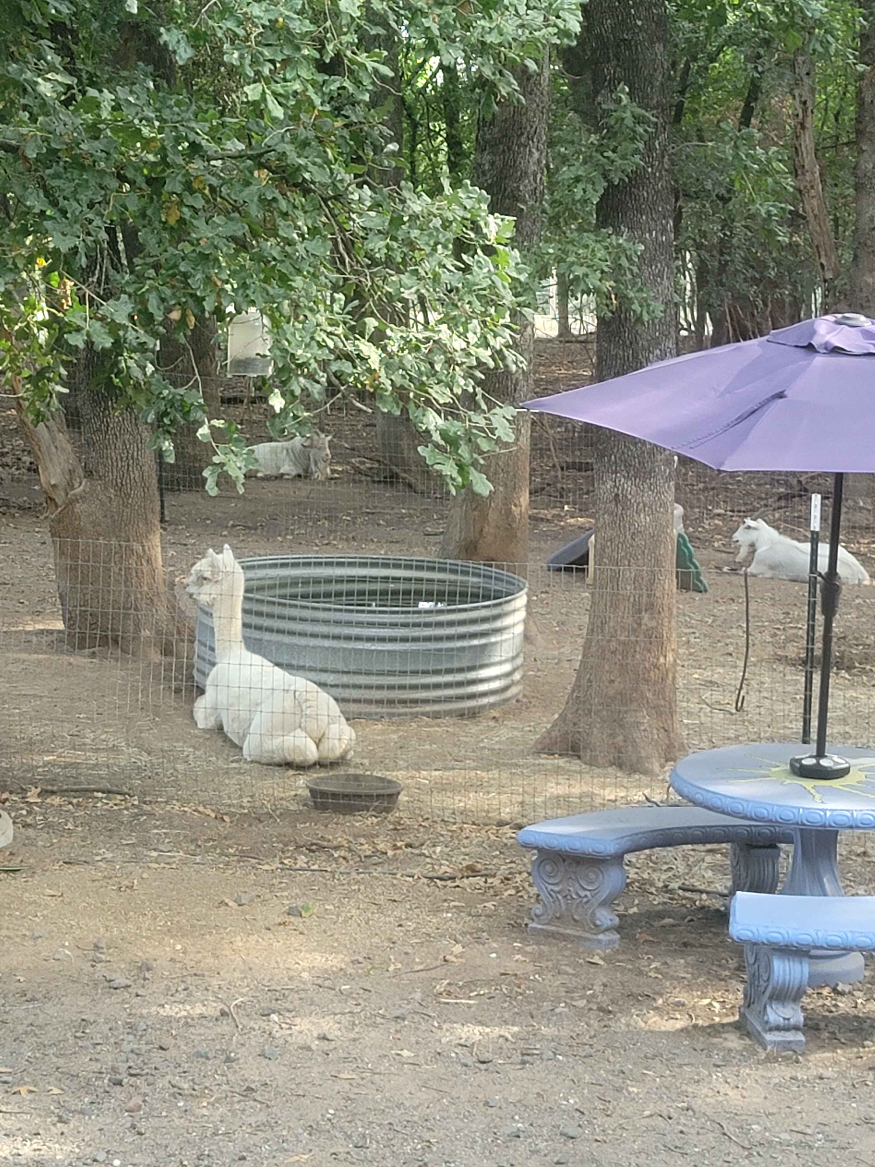 Mana Farm Davis