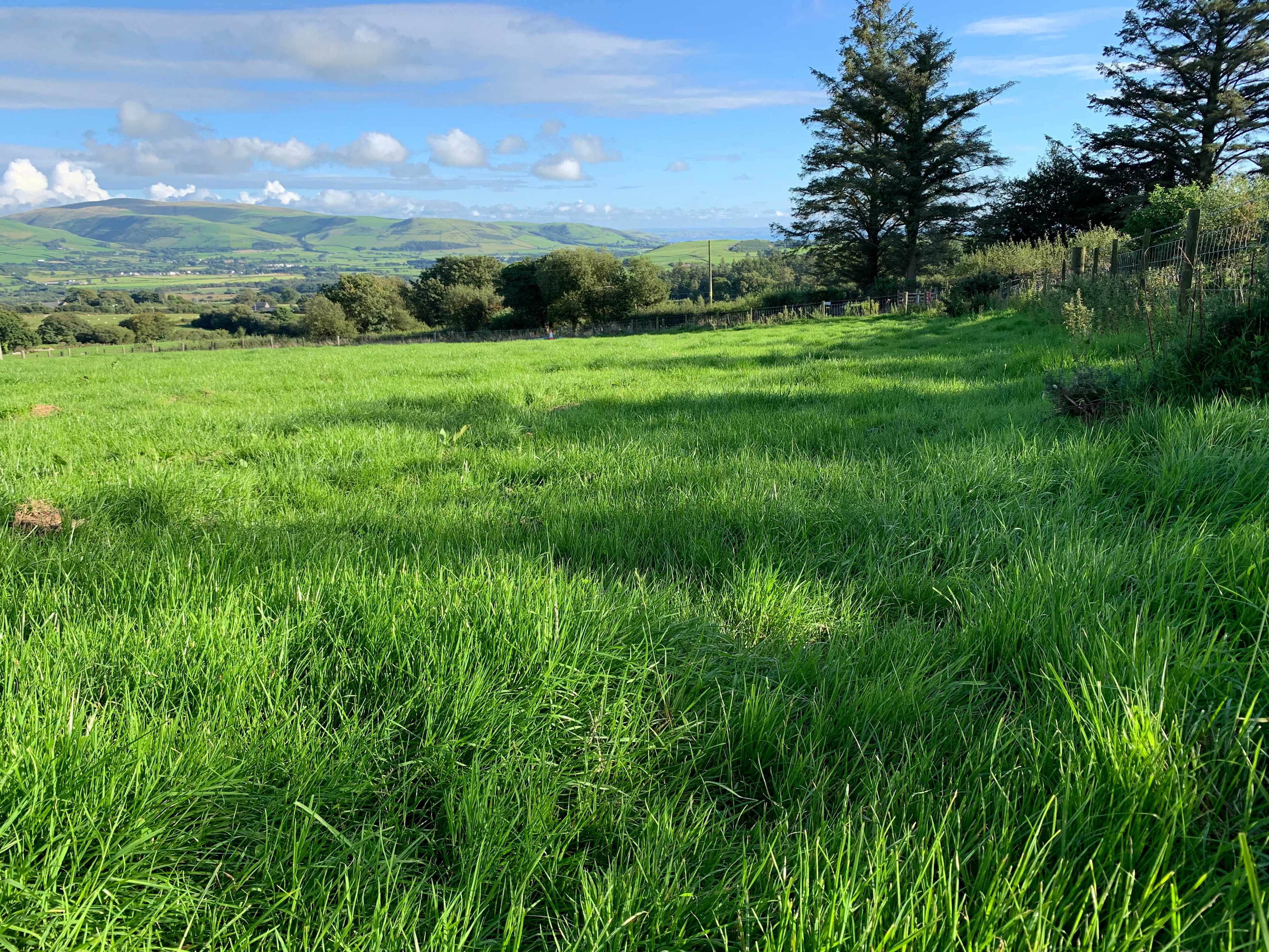 Nant Madyn Camping