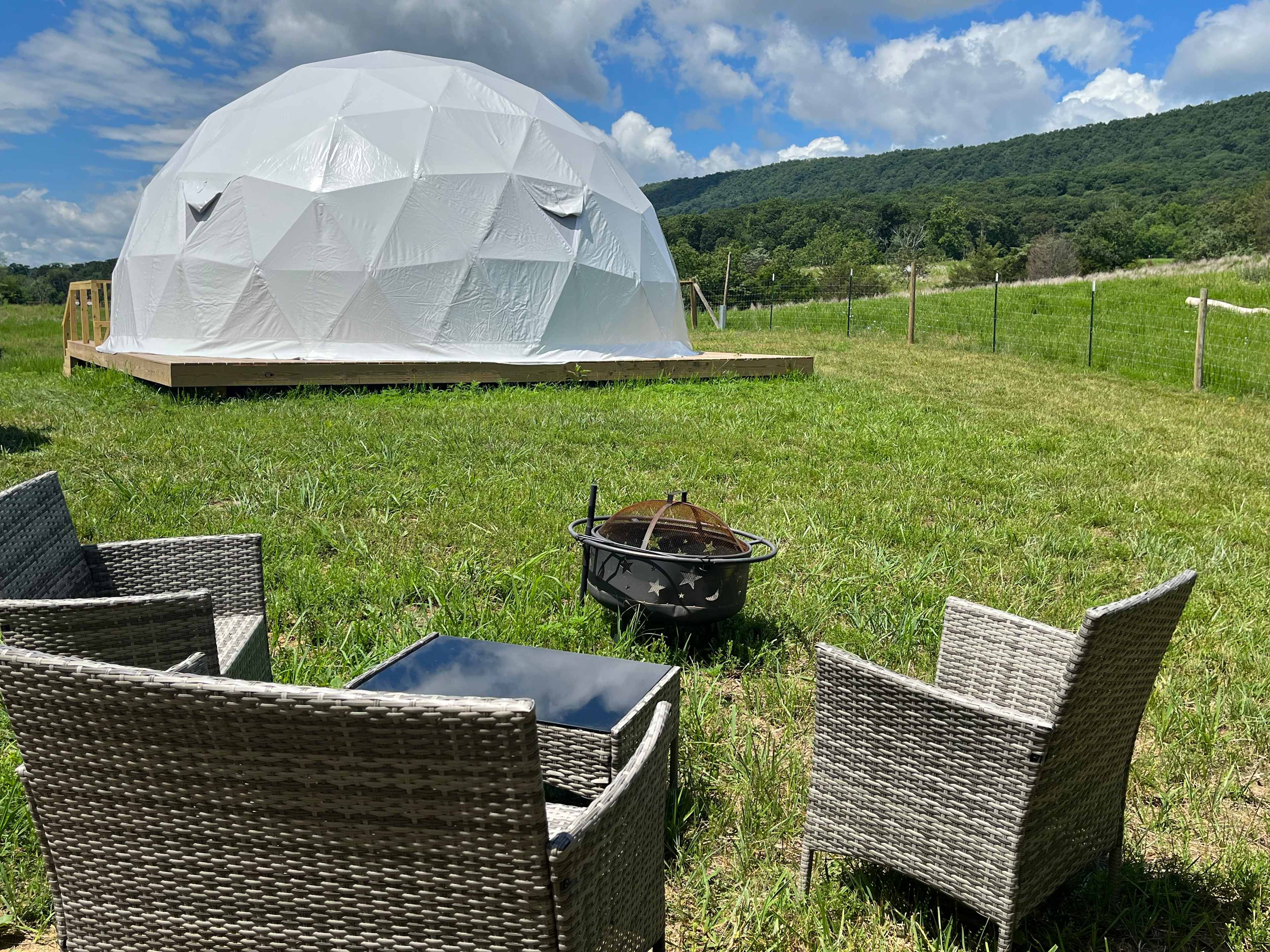 Our Farm in Strasburg, VA