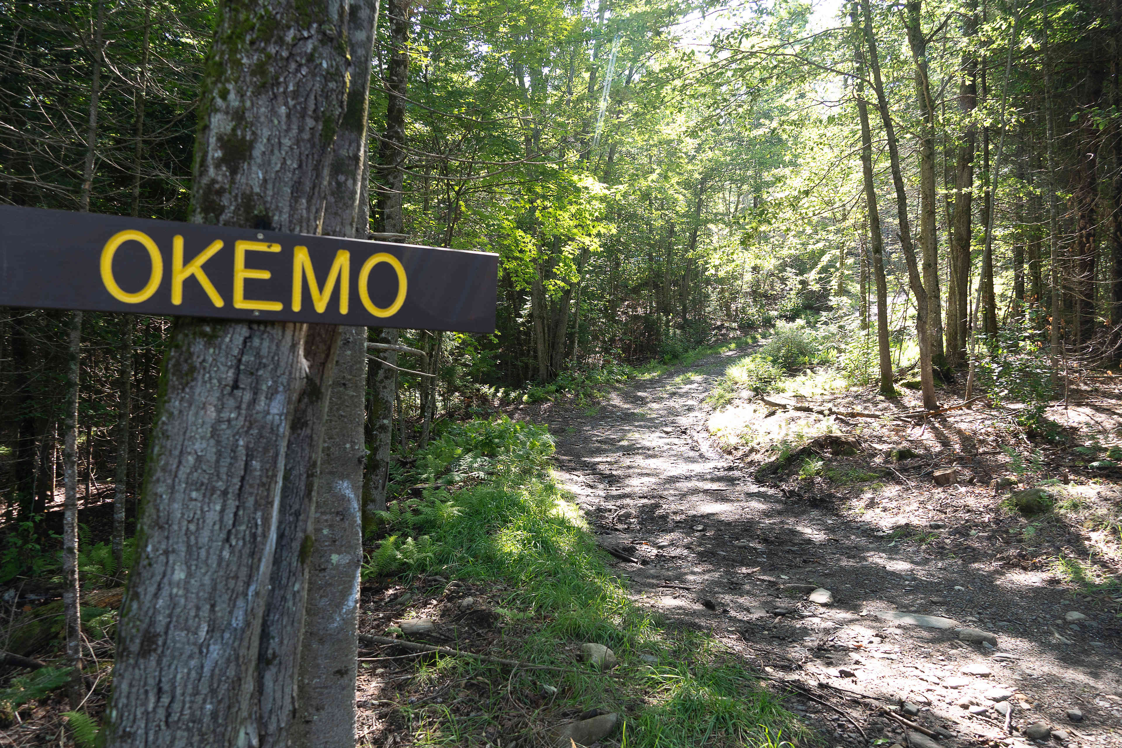 Mount Norris Scout Reservation