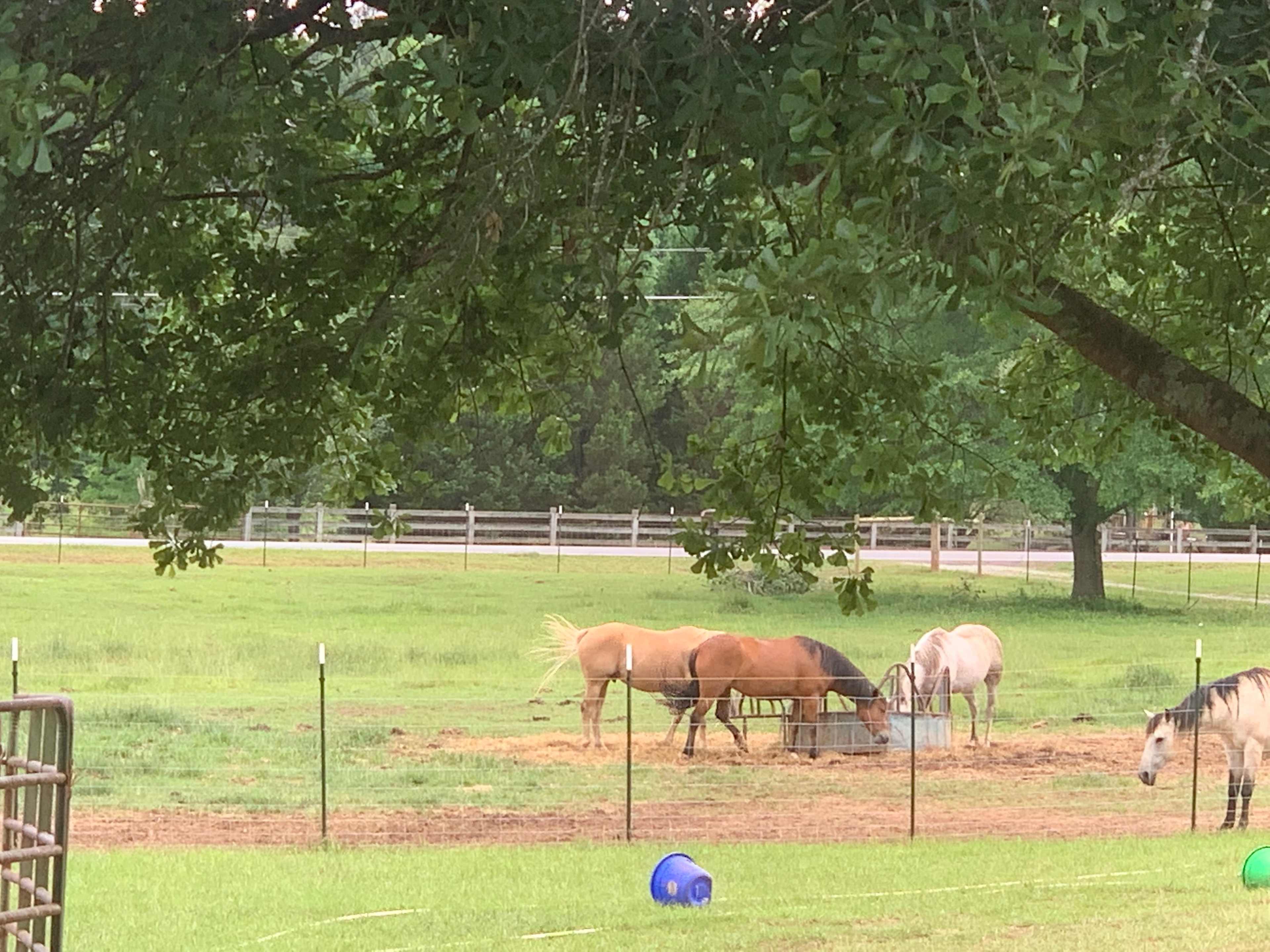 O’re Yonder Oasis