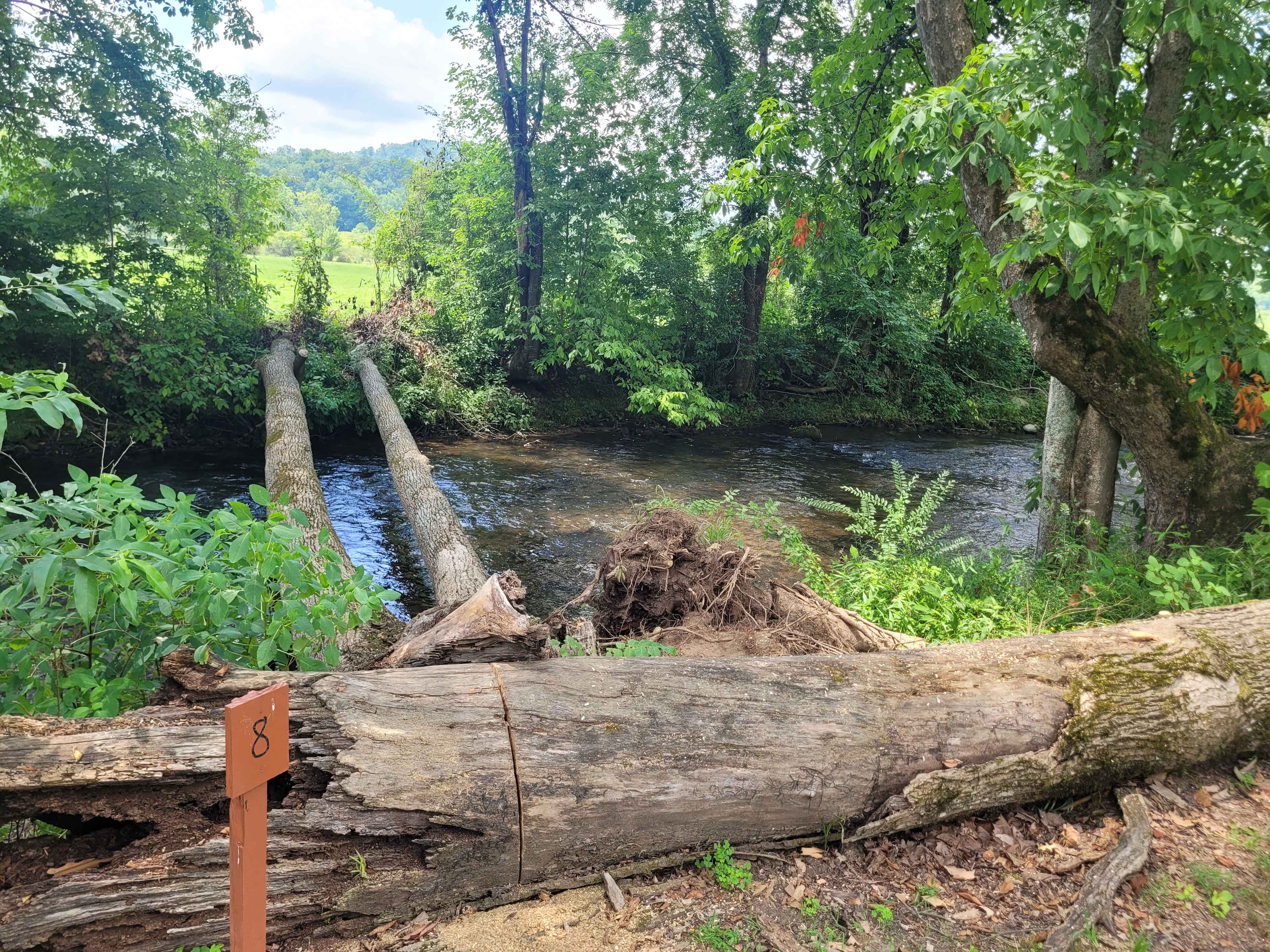 Mountain Riders Riverfront Camping