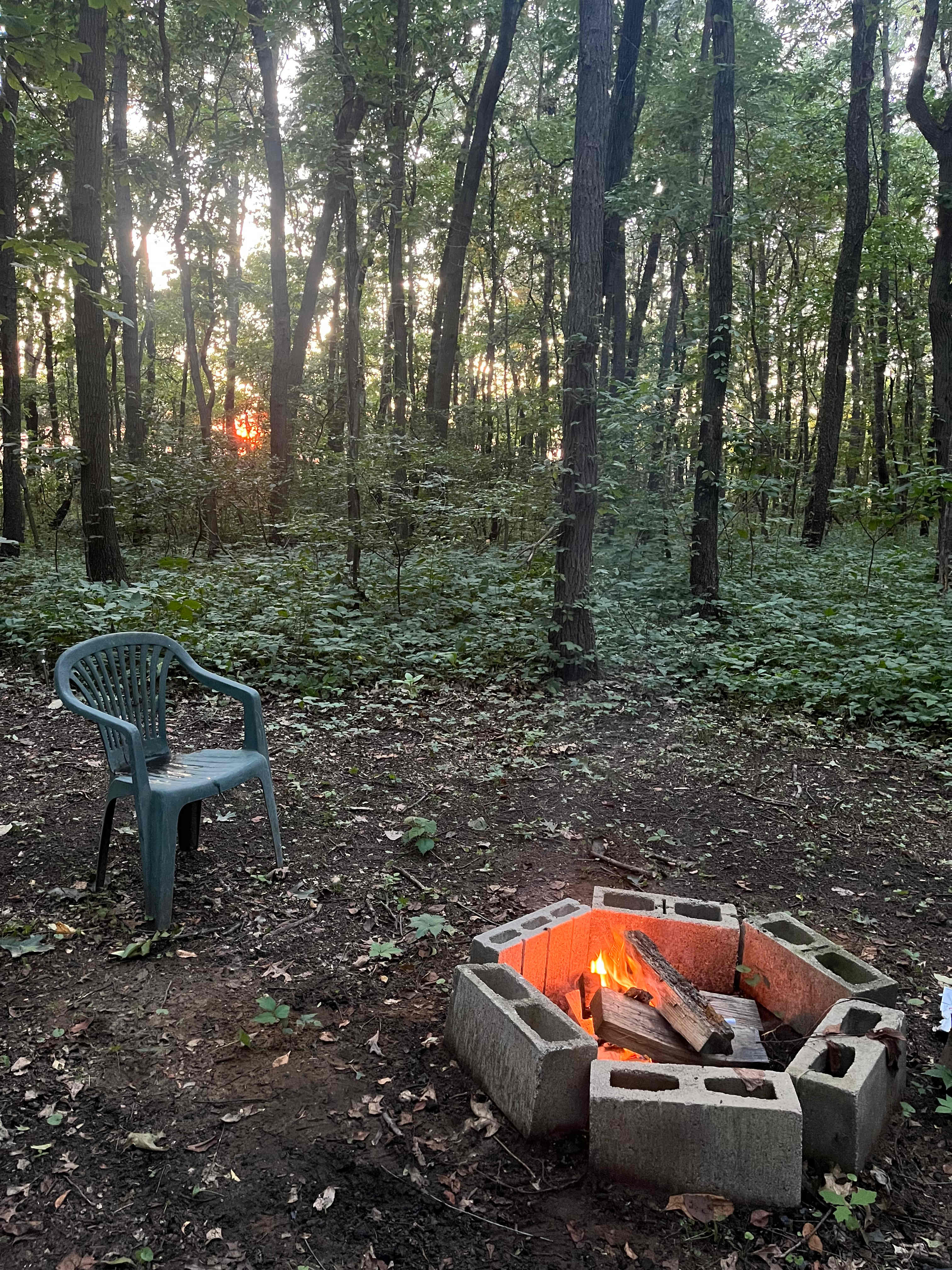 Farley’s Farm Sanctuary
