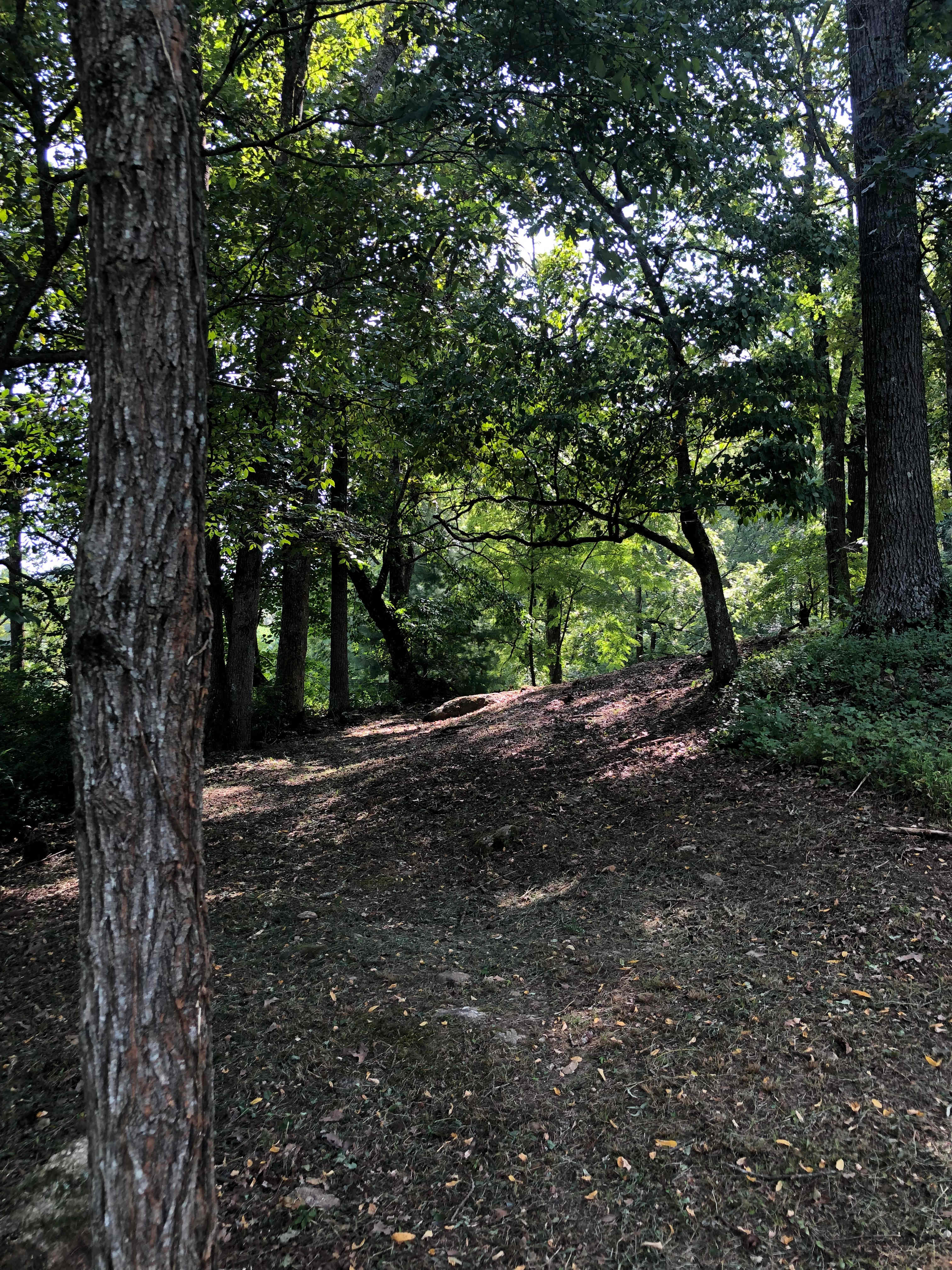 The walking trail 