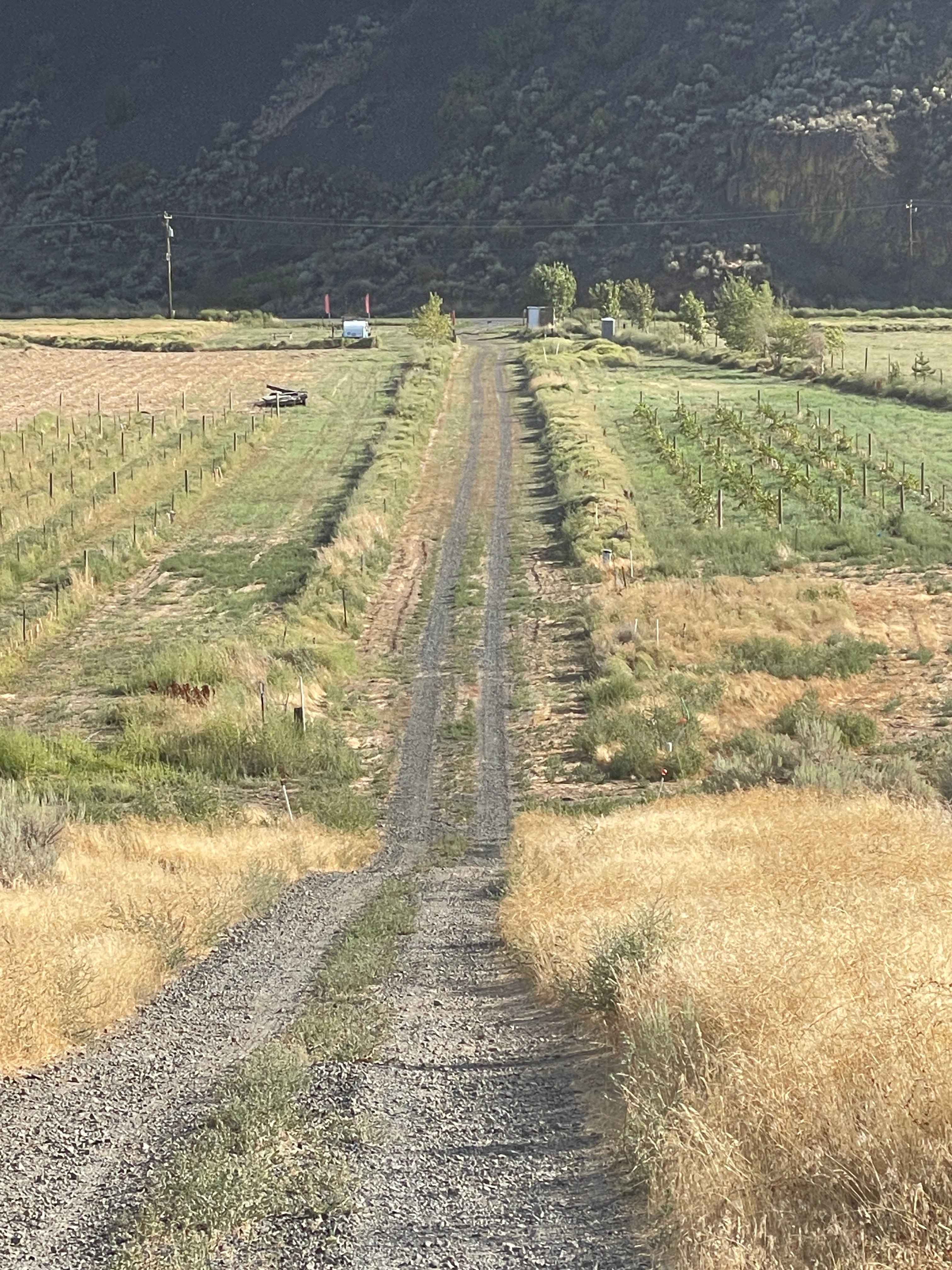 Del Rosario Family Vineyard