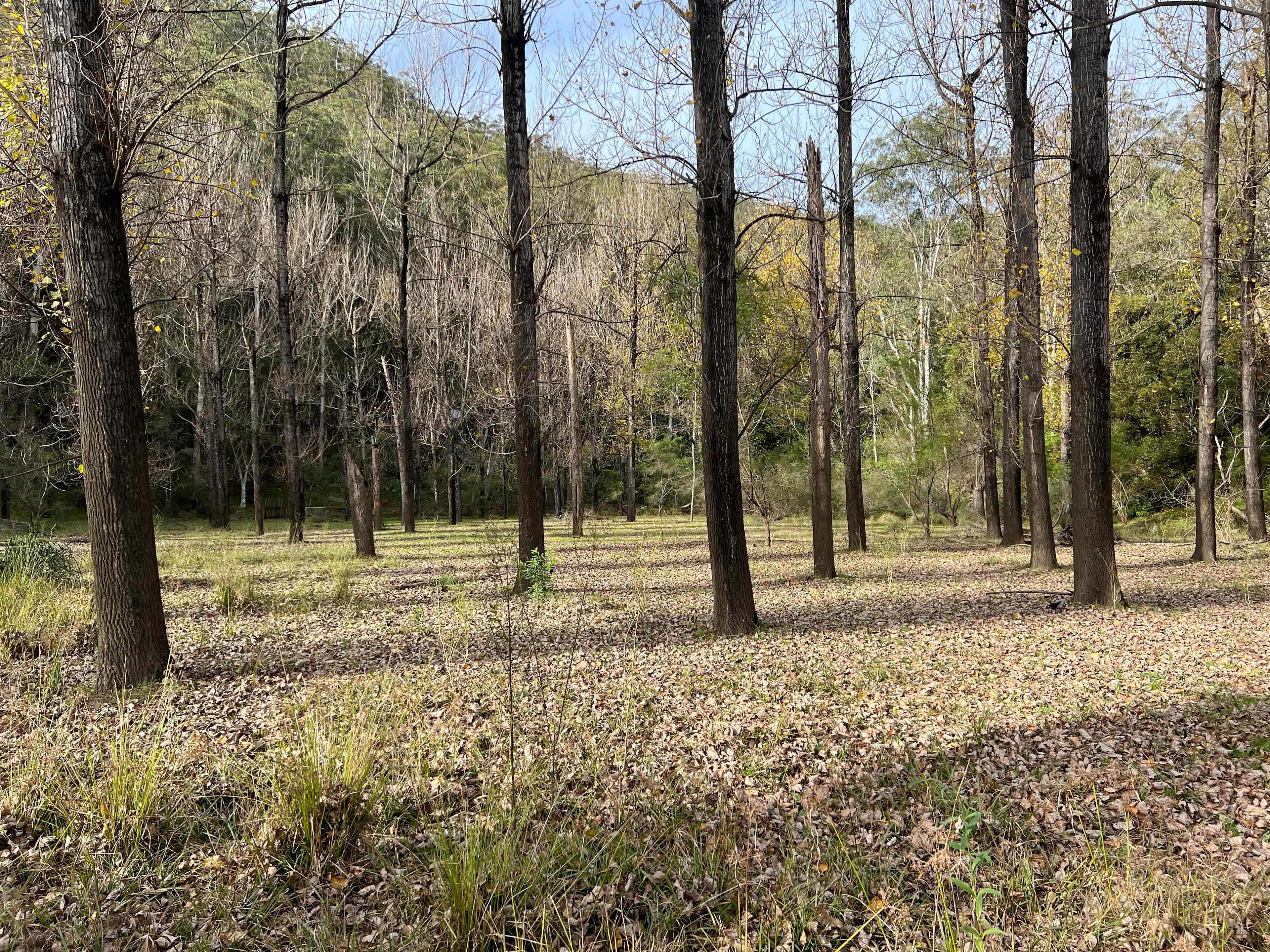 Poplars at Rosemont Estate