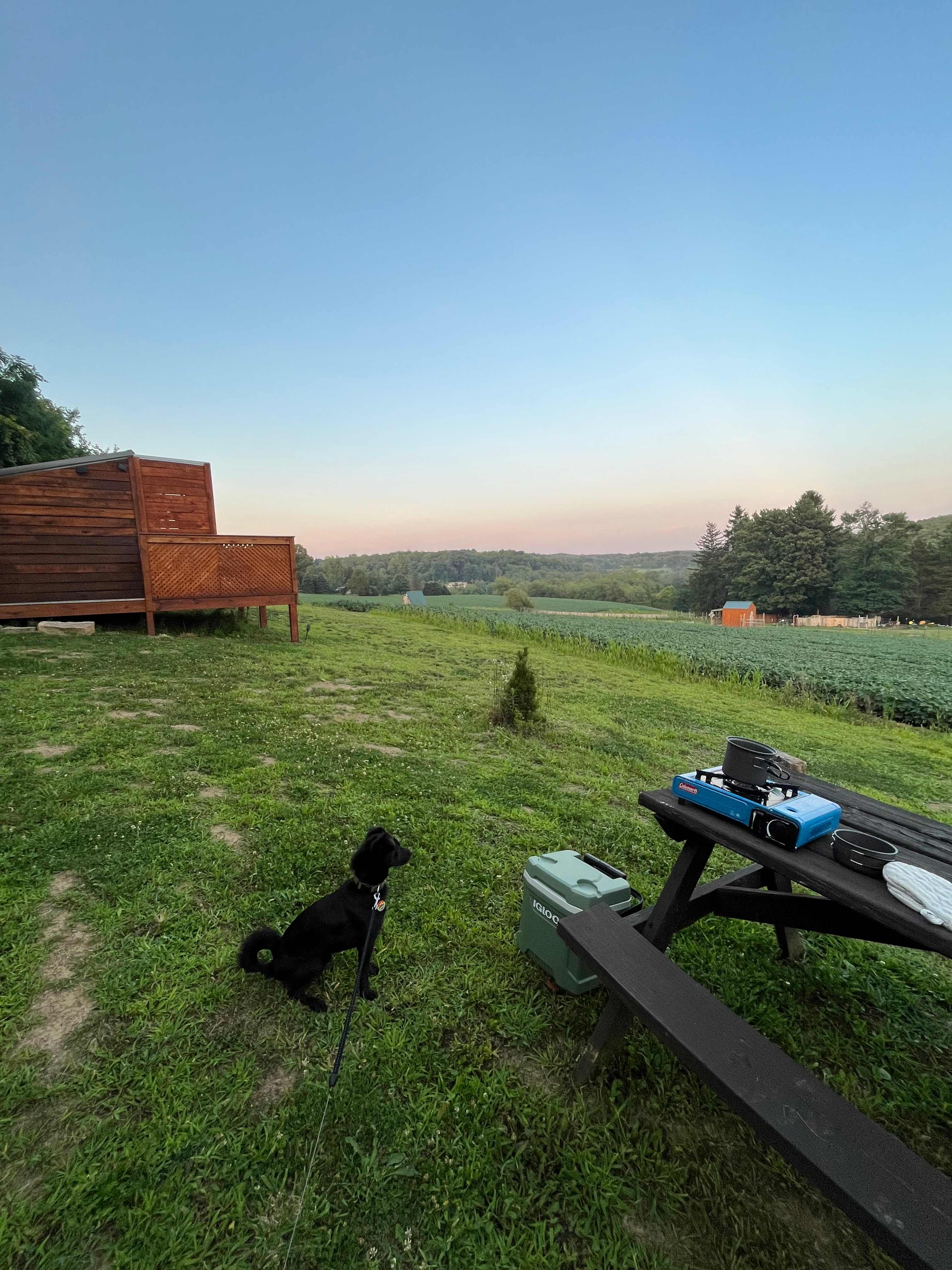 Nanny’s Rustic Retreat