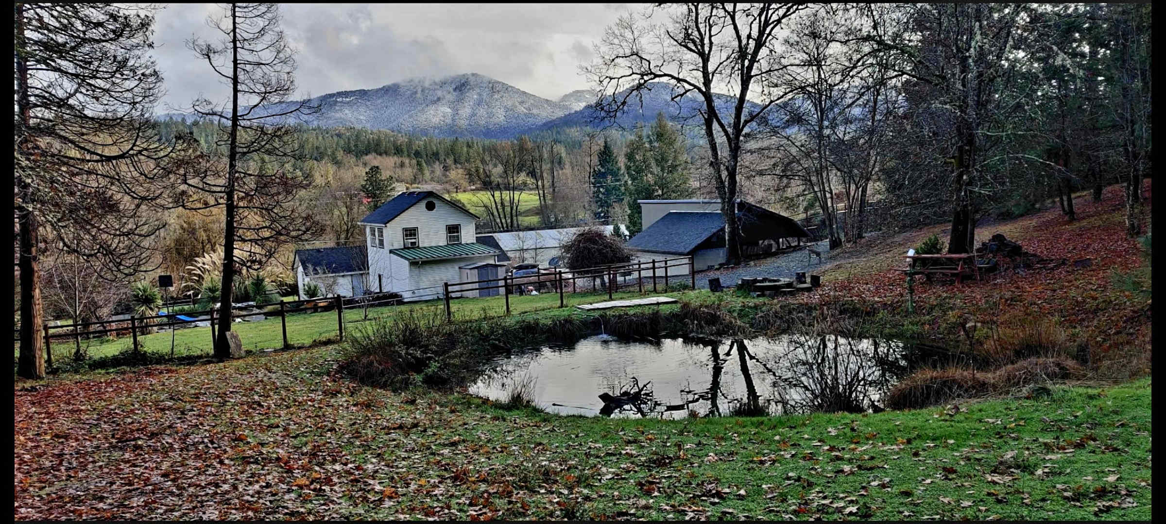 New Hope Homestead