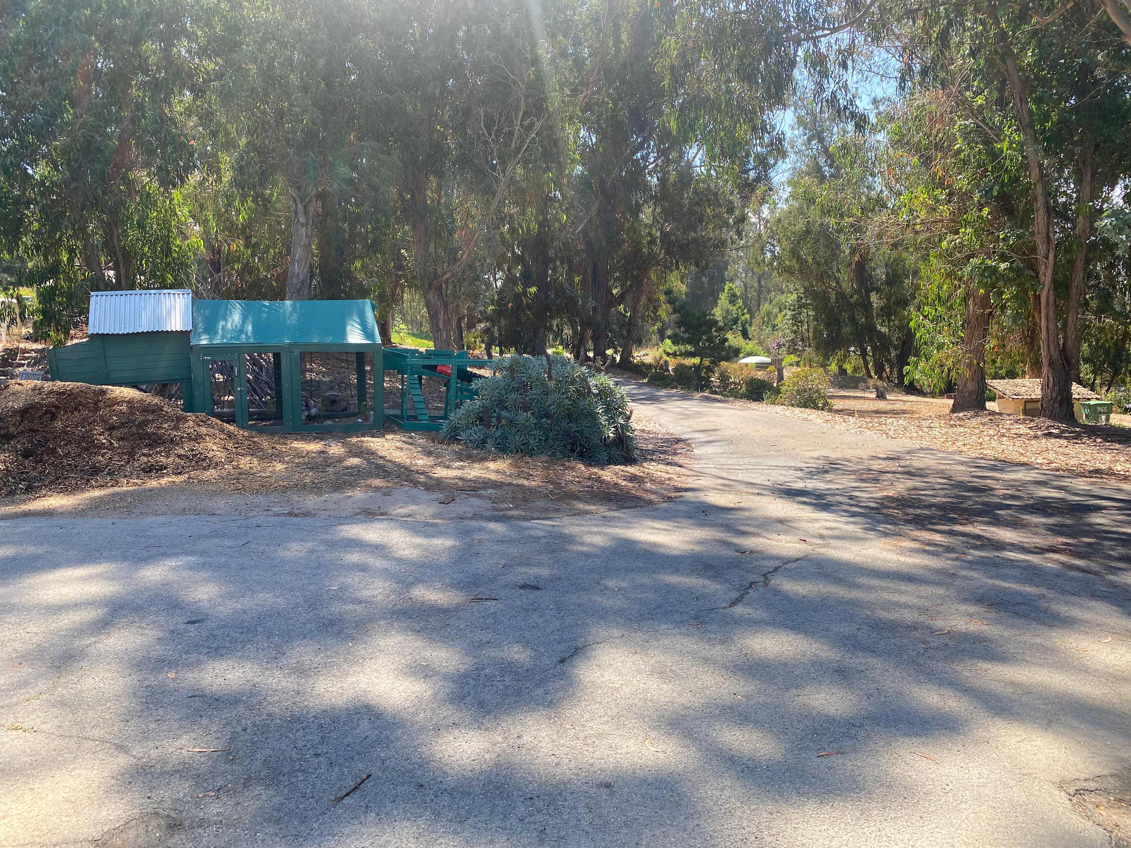 The Aussie Hacie Campsite