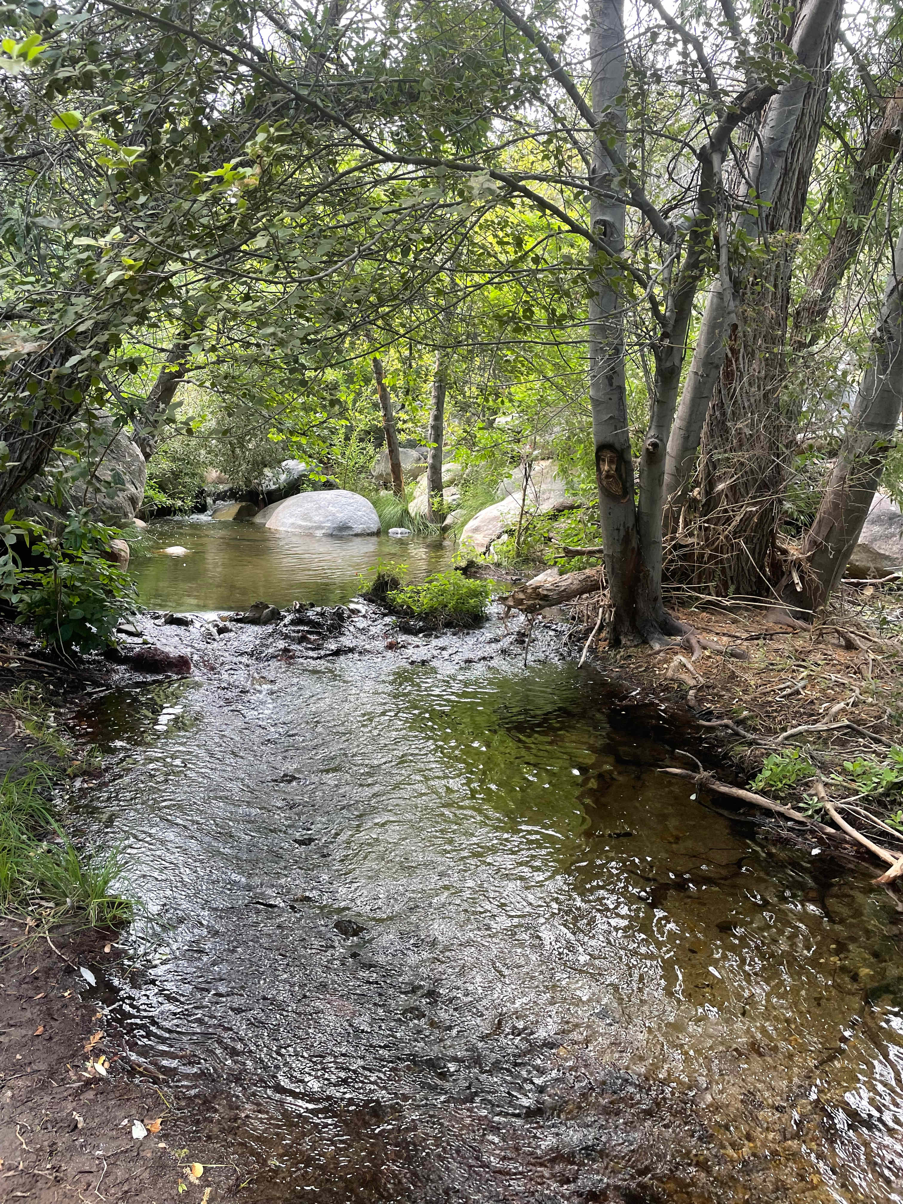 Shirley Creek Retreat