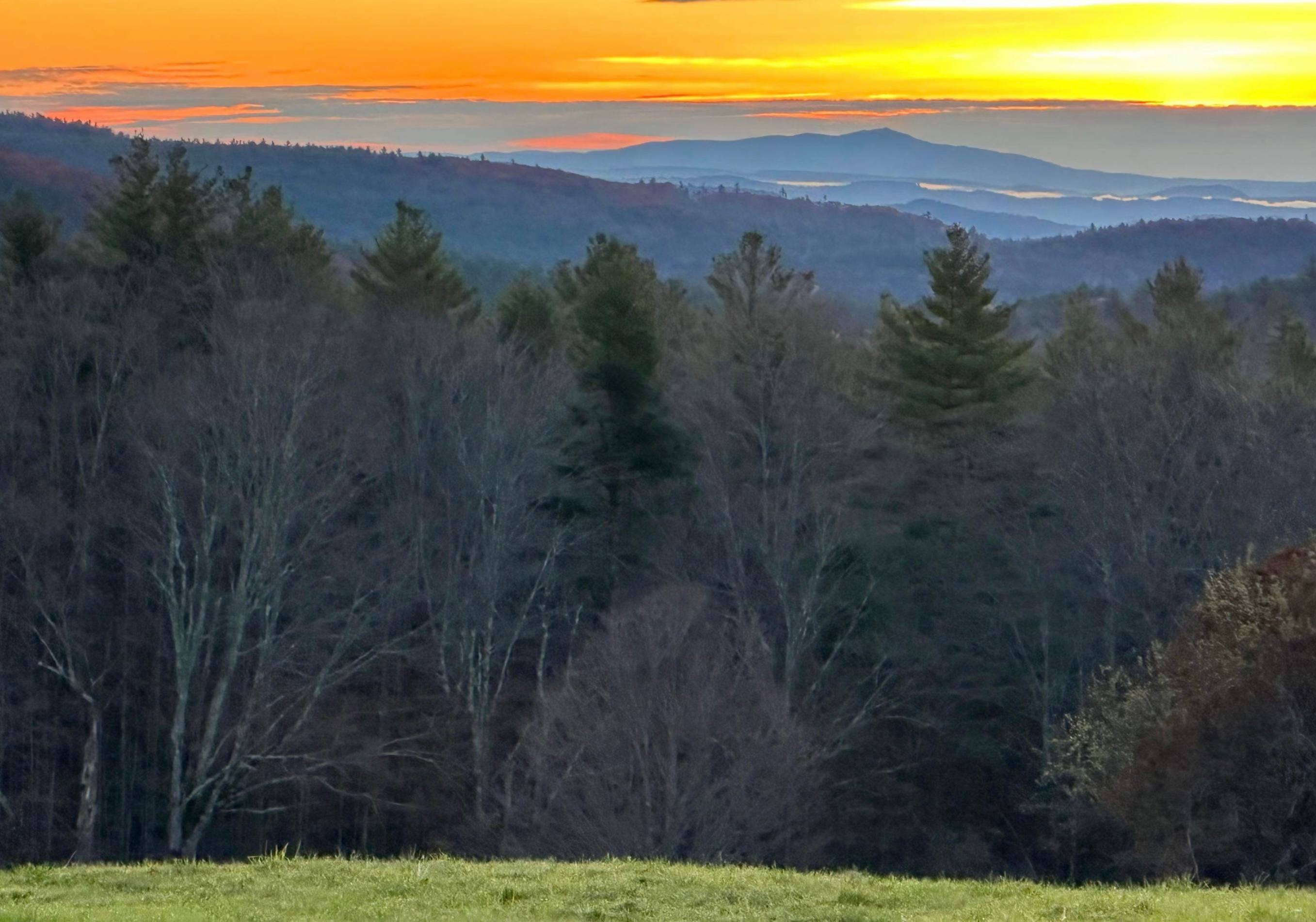 Sunrise Farm