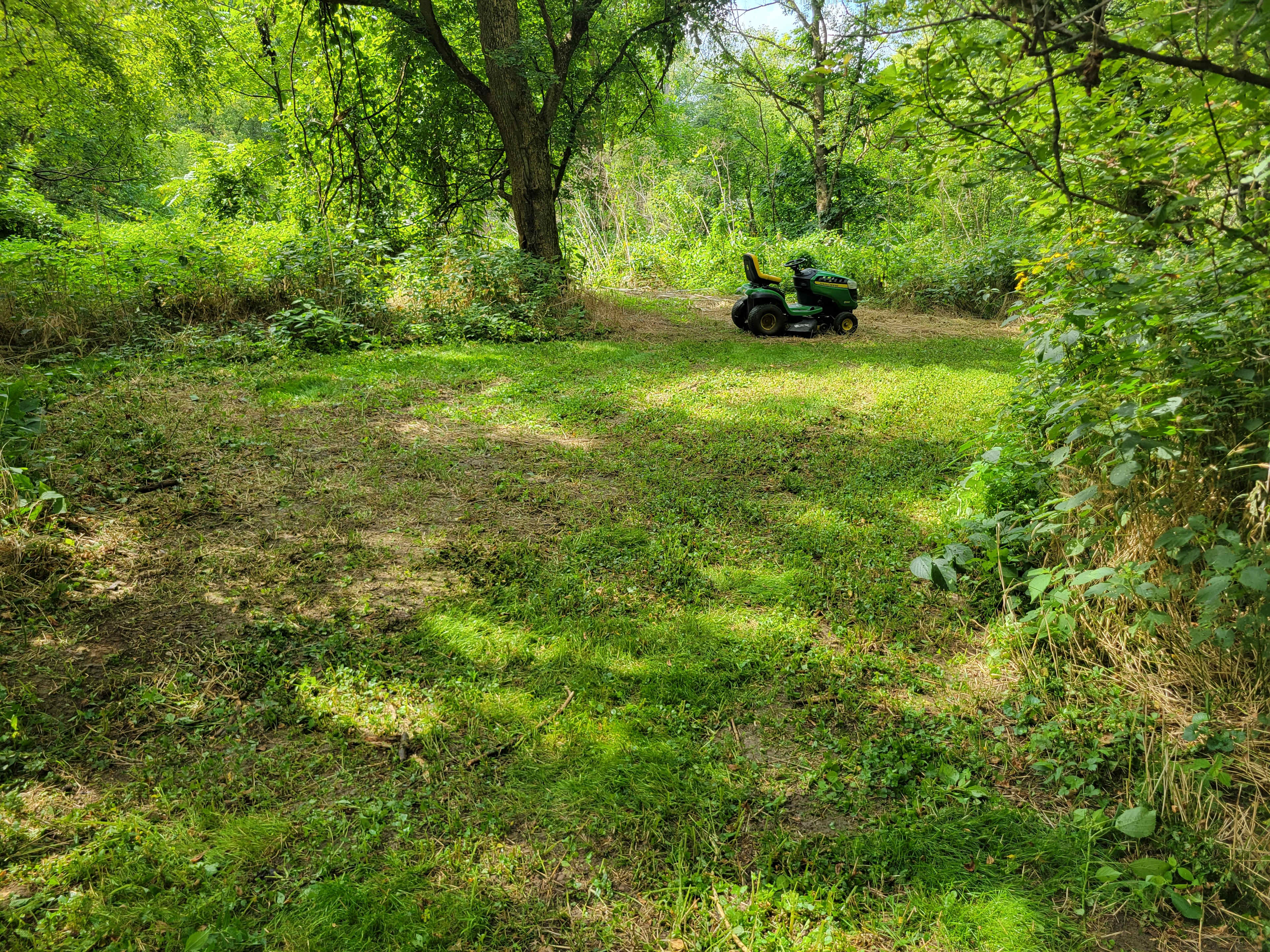This is the area I cleared for a camp site. The river is 30ft from here and I cleaned a path out to it.  There is a sandbar for easy access right here.  If u felt frisky you could camp on the waters edge. 