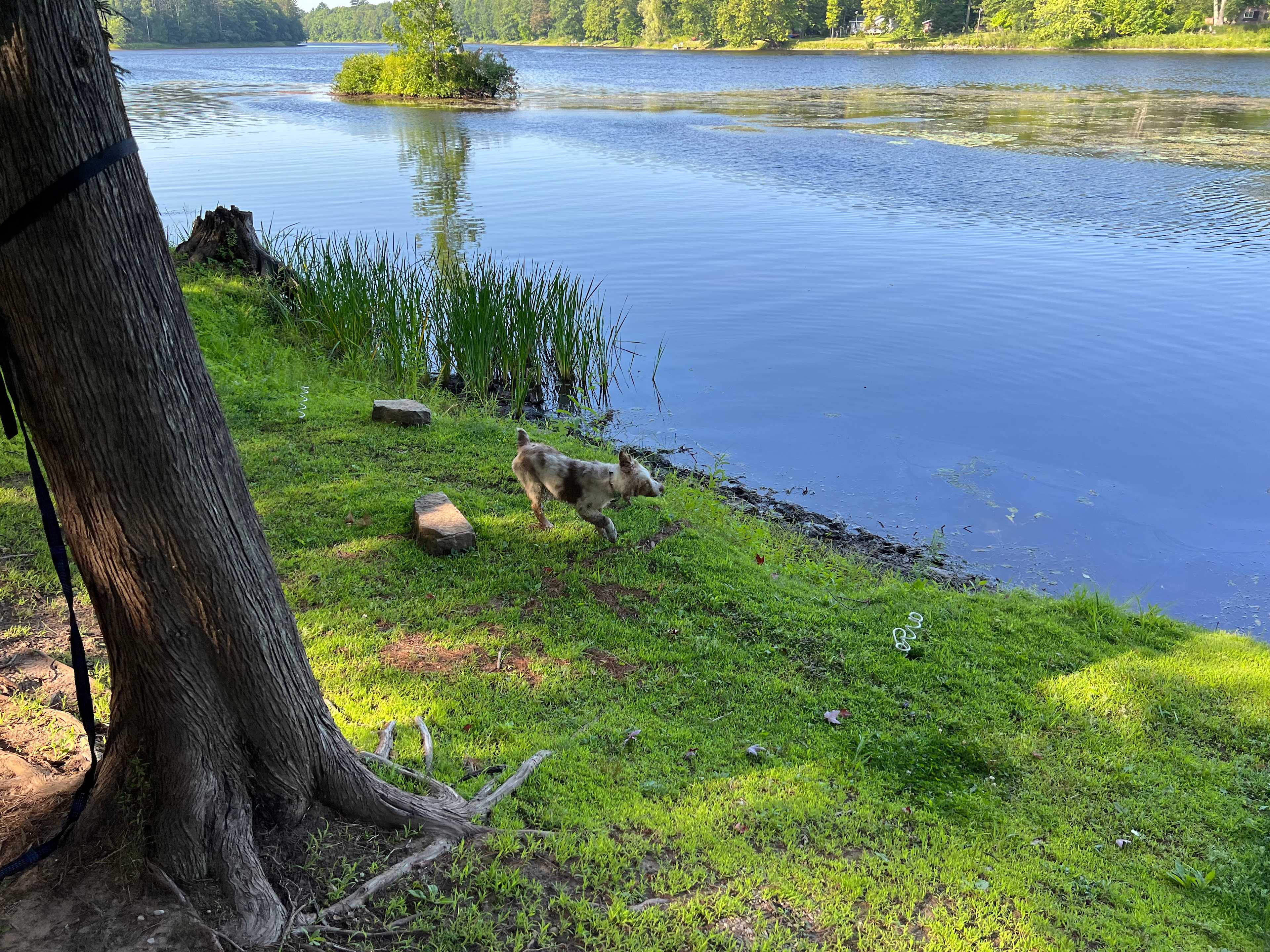 River Getaway