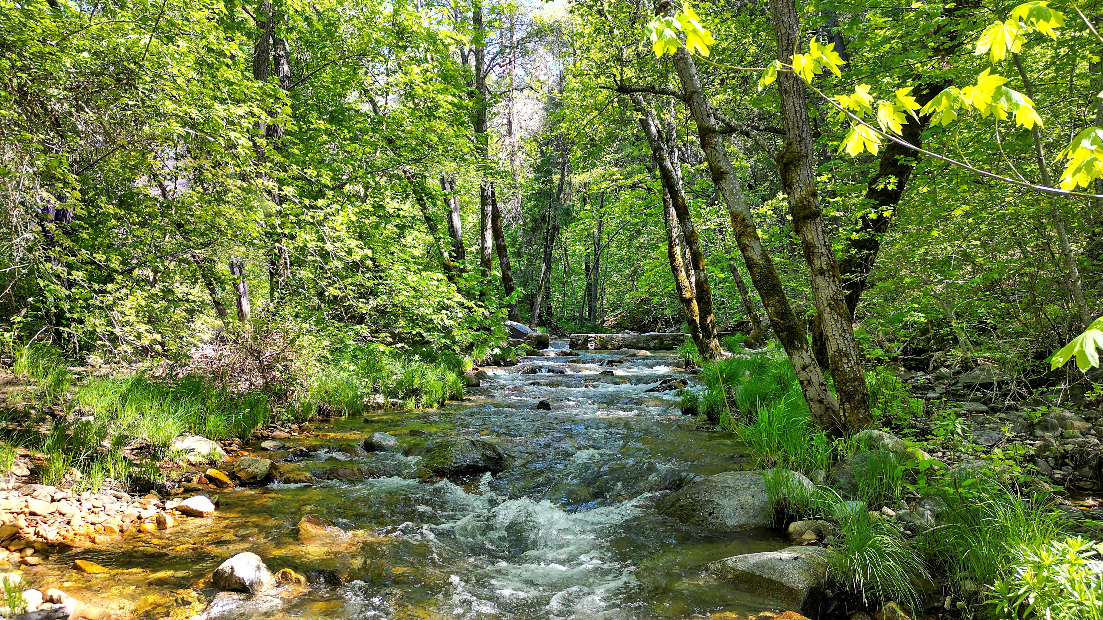 River Ranch Campgrounds