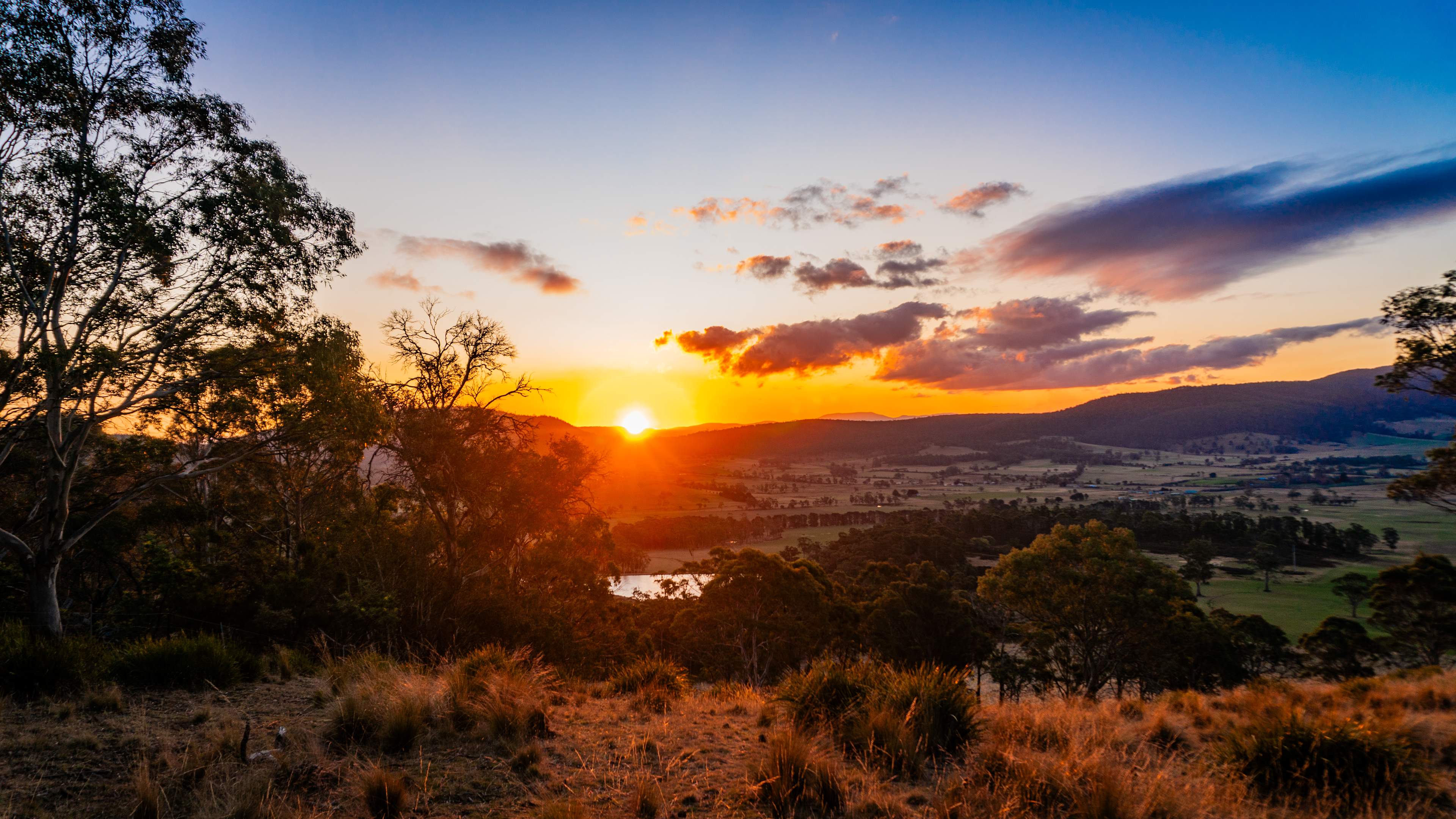 Falcon Ridge