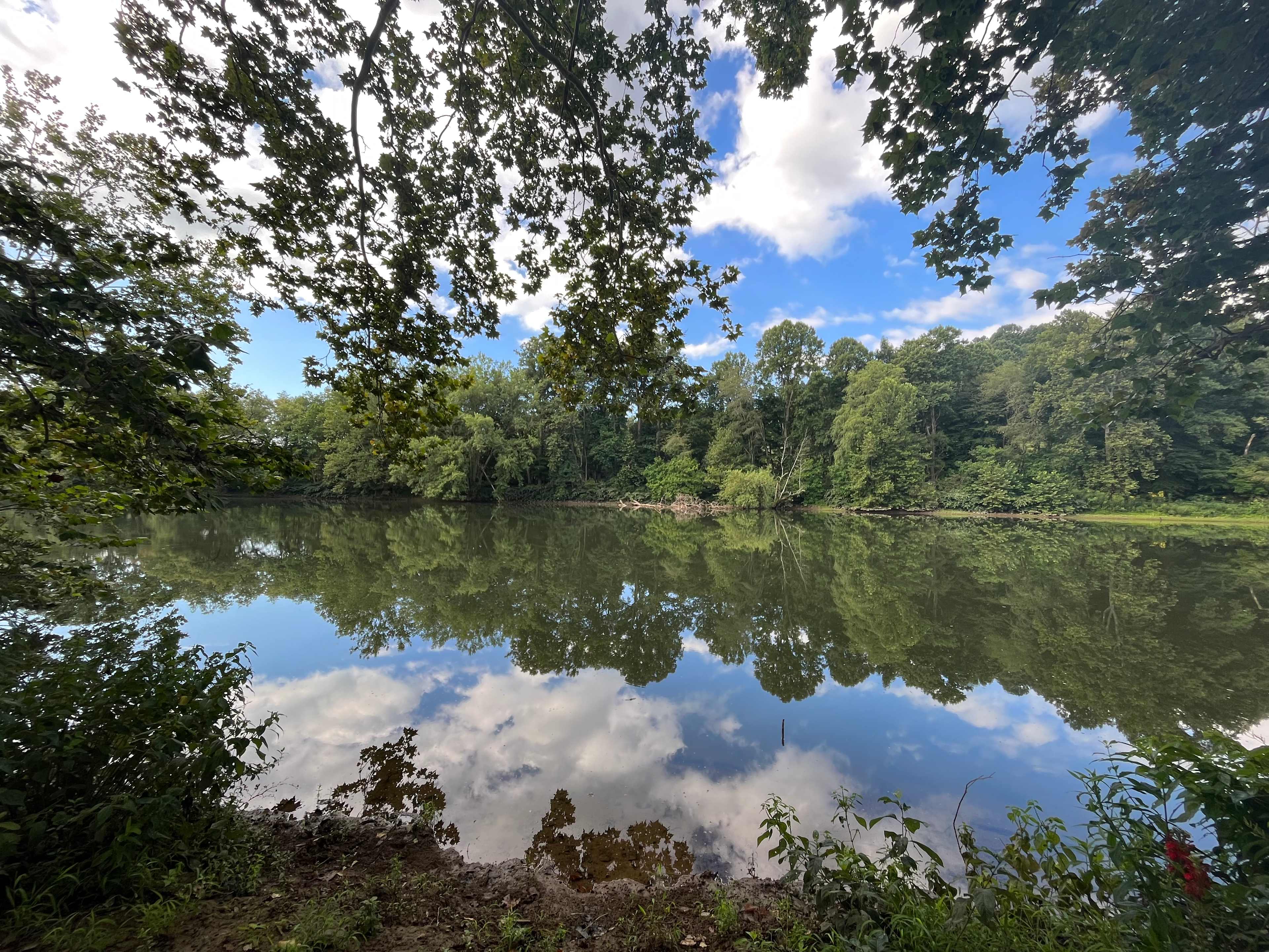 EarthSky Private Camp & Retreat