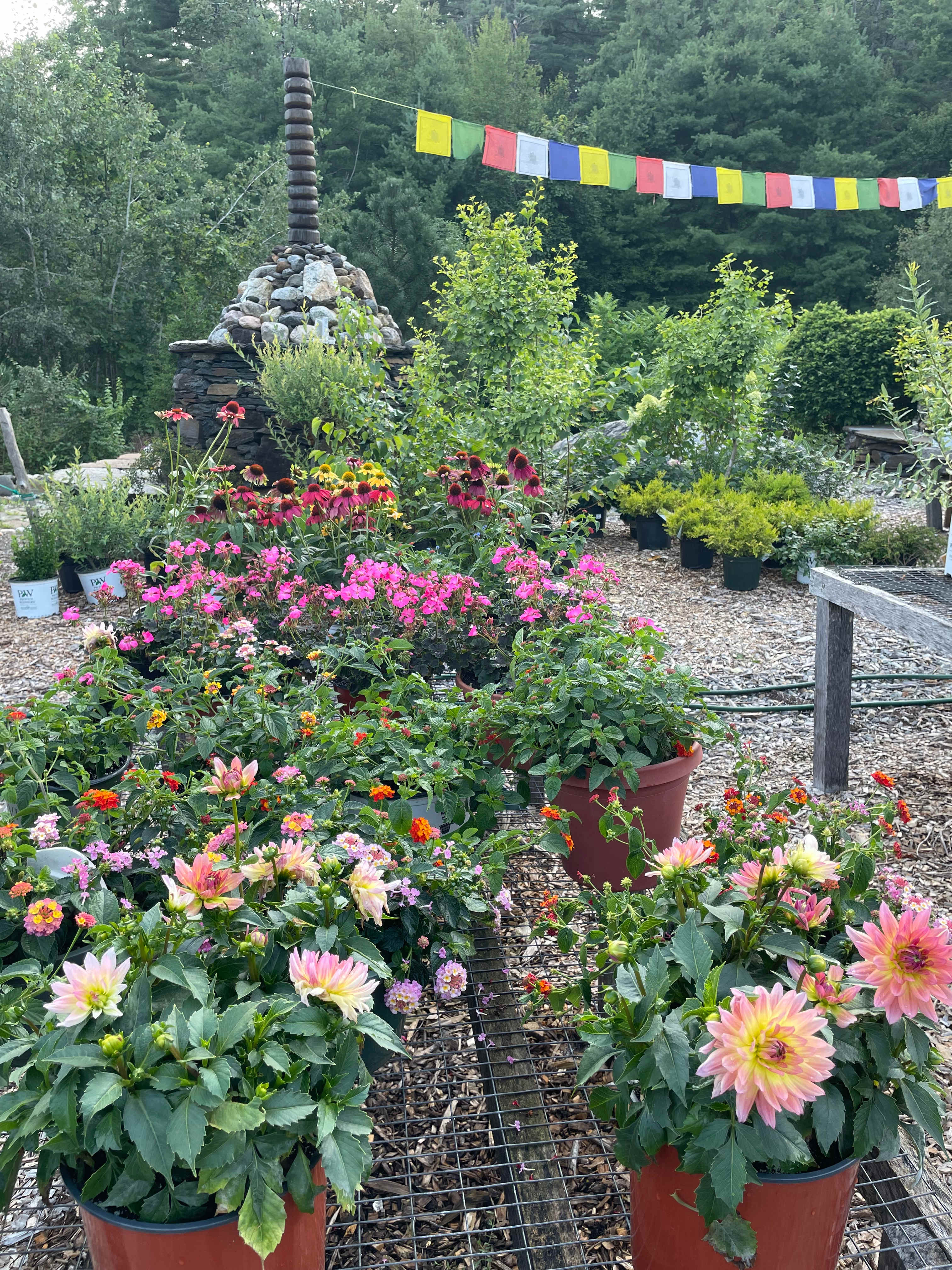 Wilder Hill Gardens