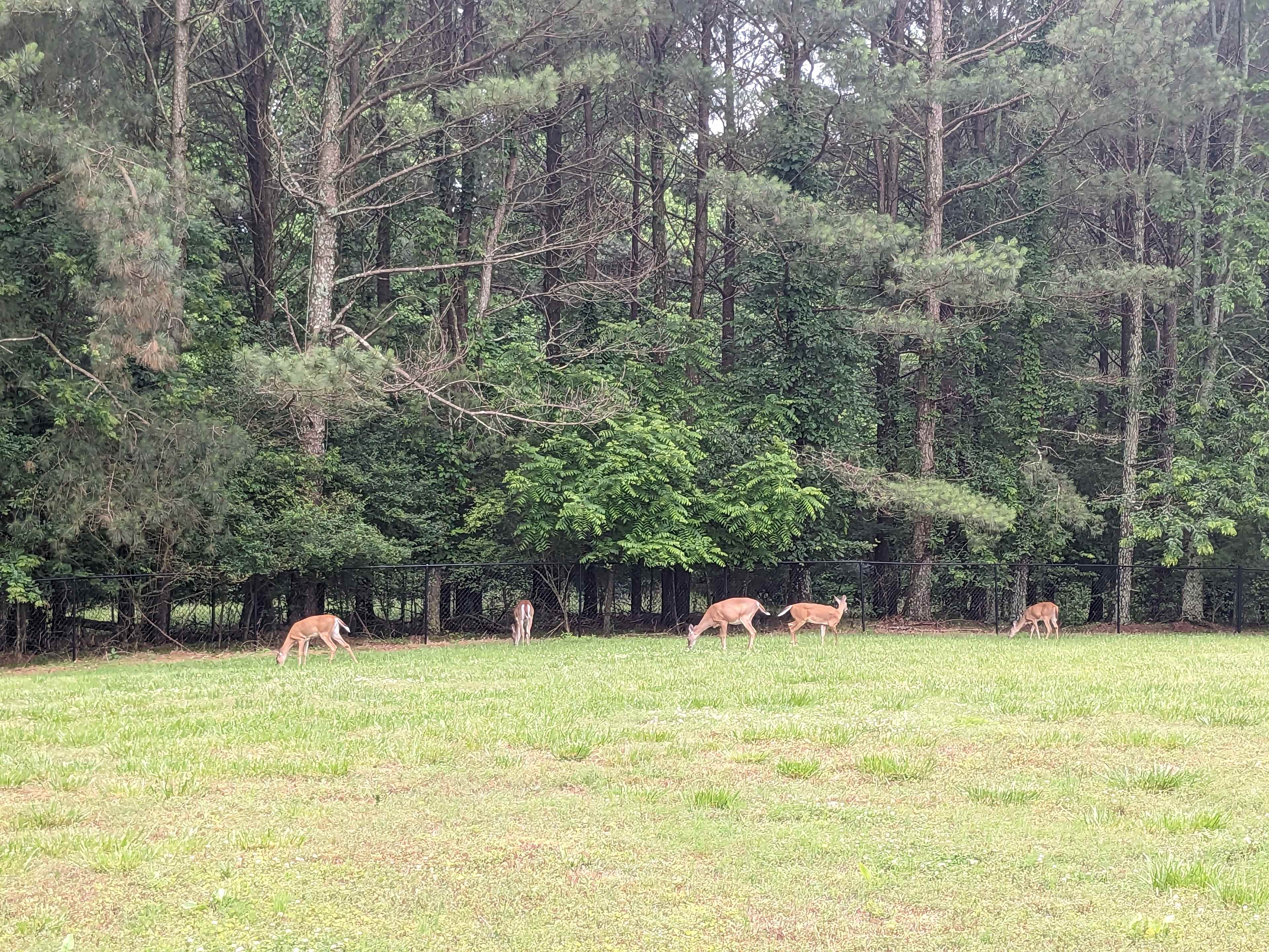 Sonny South Farm