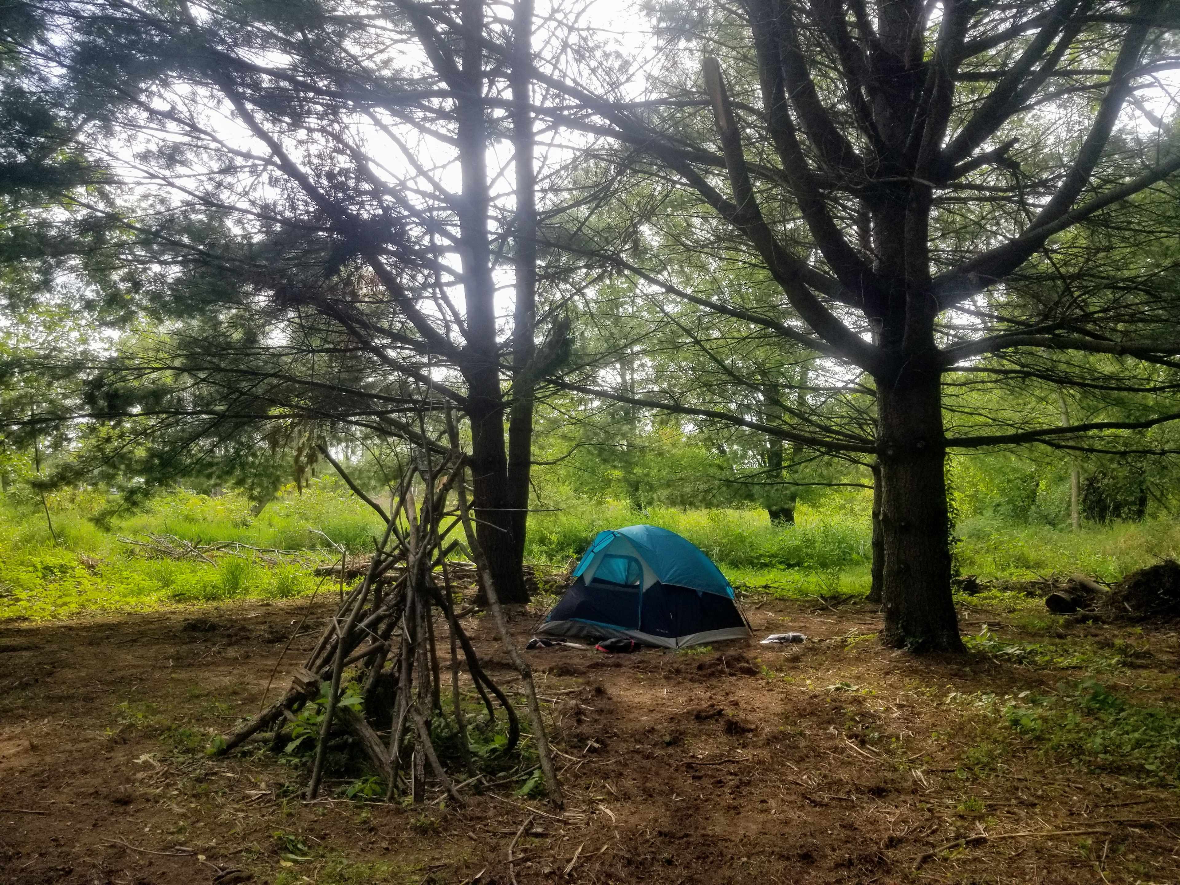 White Pine Farm HipCamping
