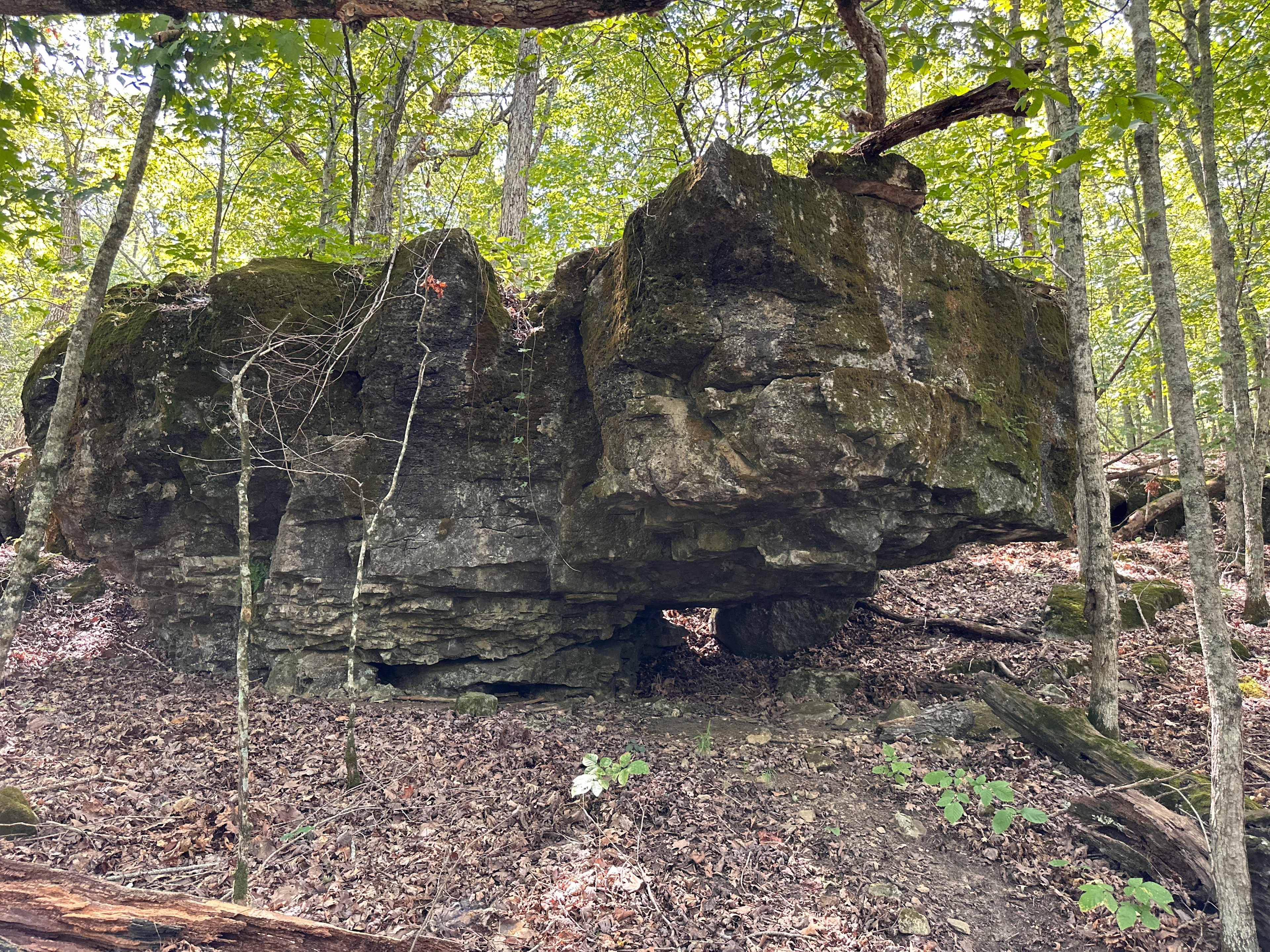 Large Rocks on the property.