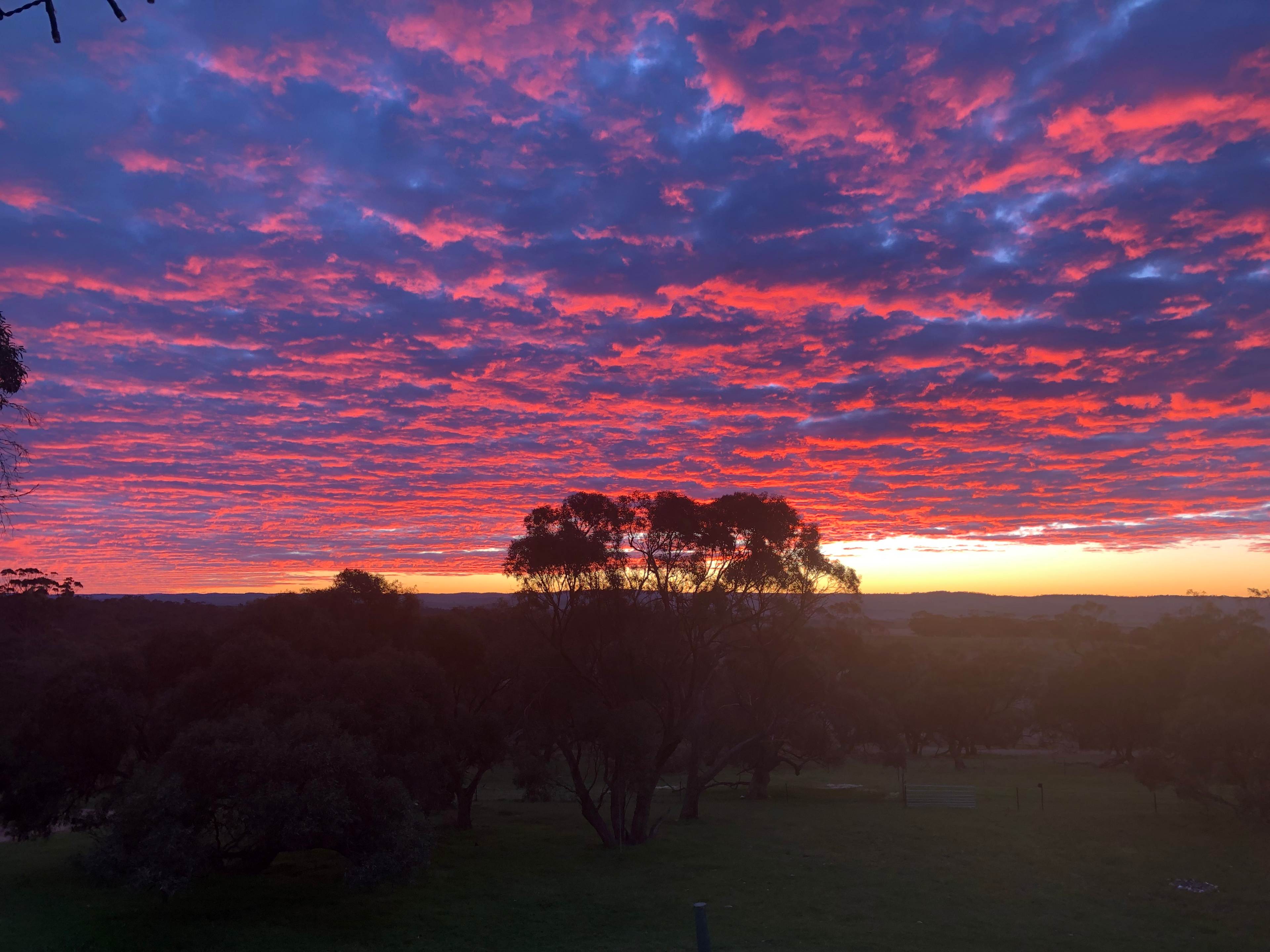 Tarlee - Serenity