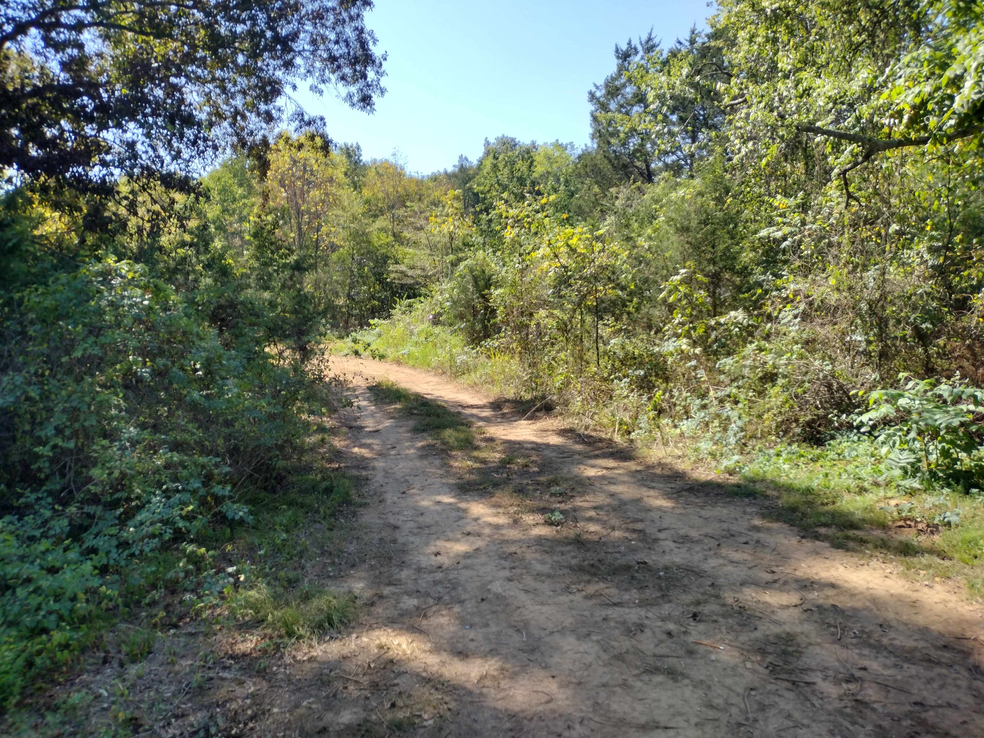 Priest Lake Property