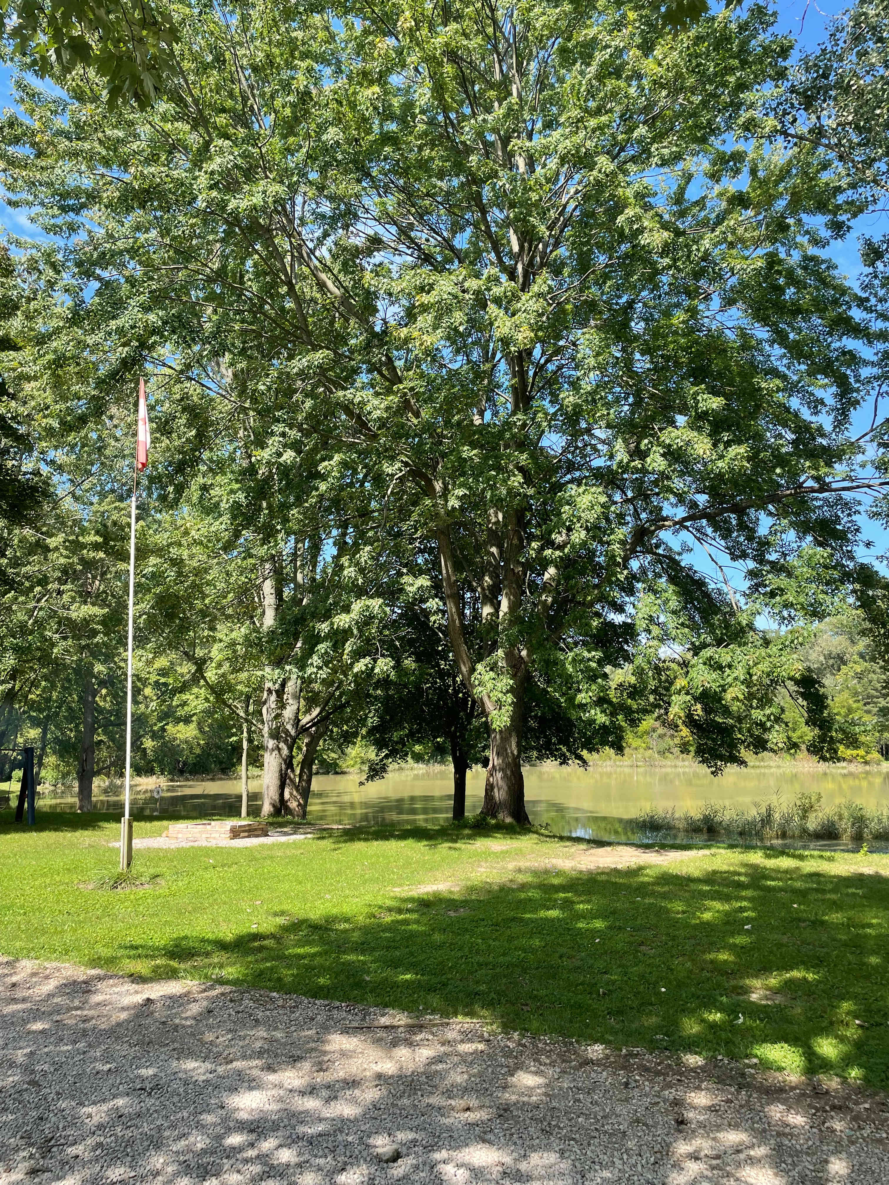 Lots of mature trees for shade.