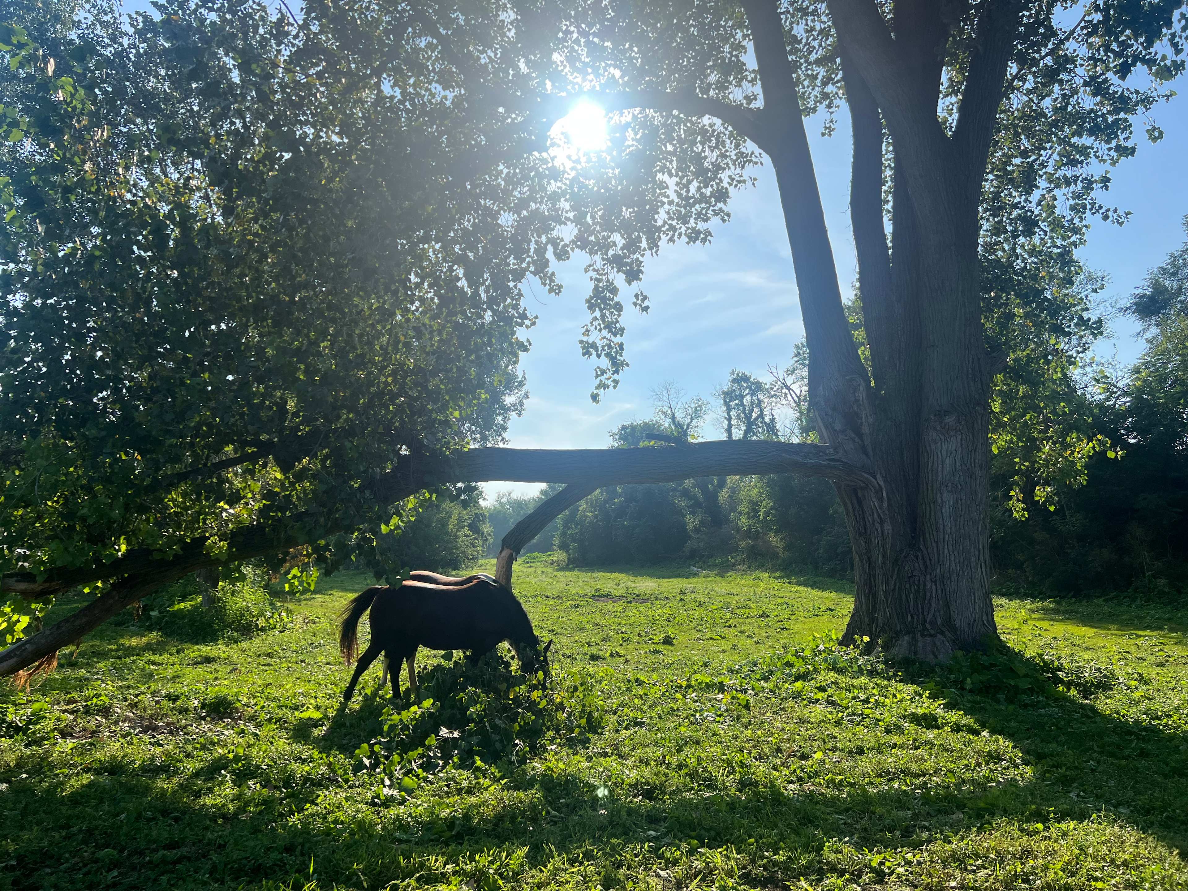 This view is of both station 1 and 2