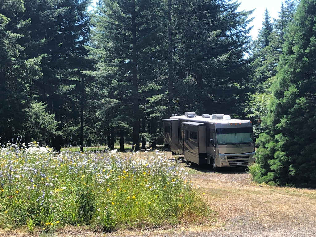 The Hummingbird Homestead