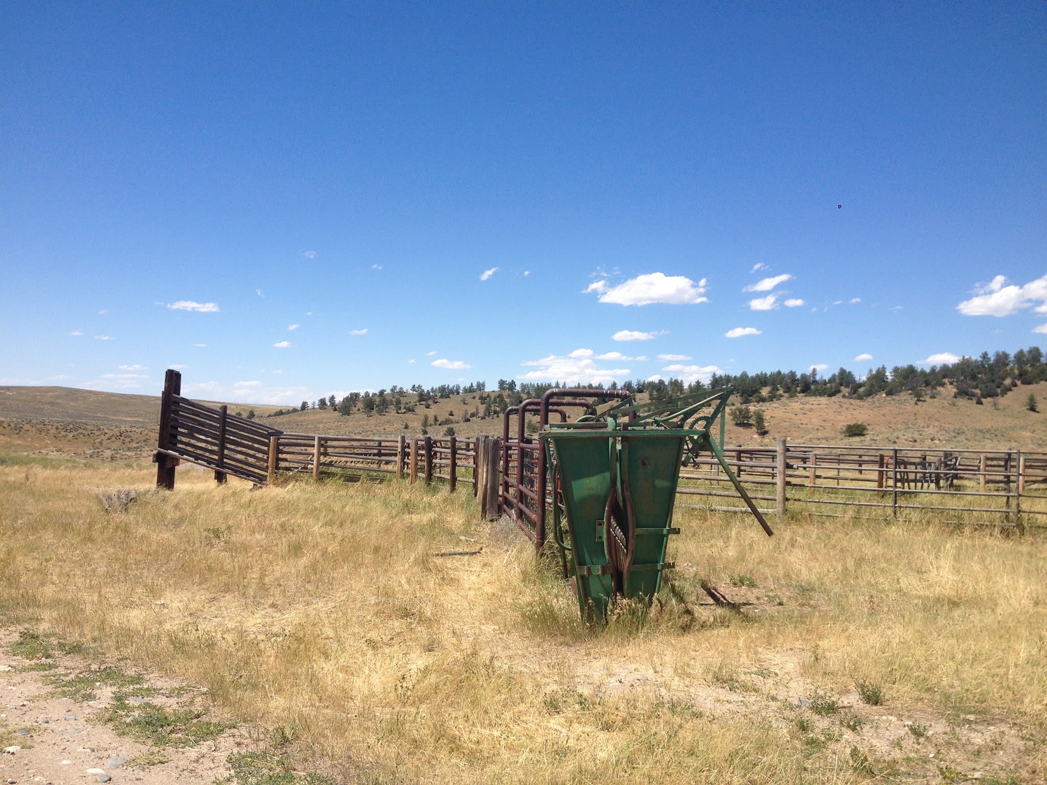 Murphy Family Ranch