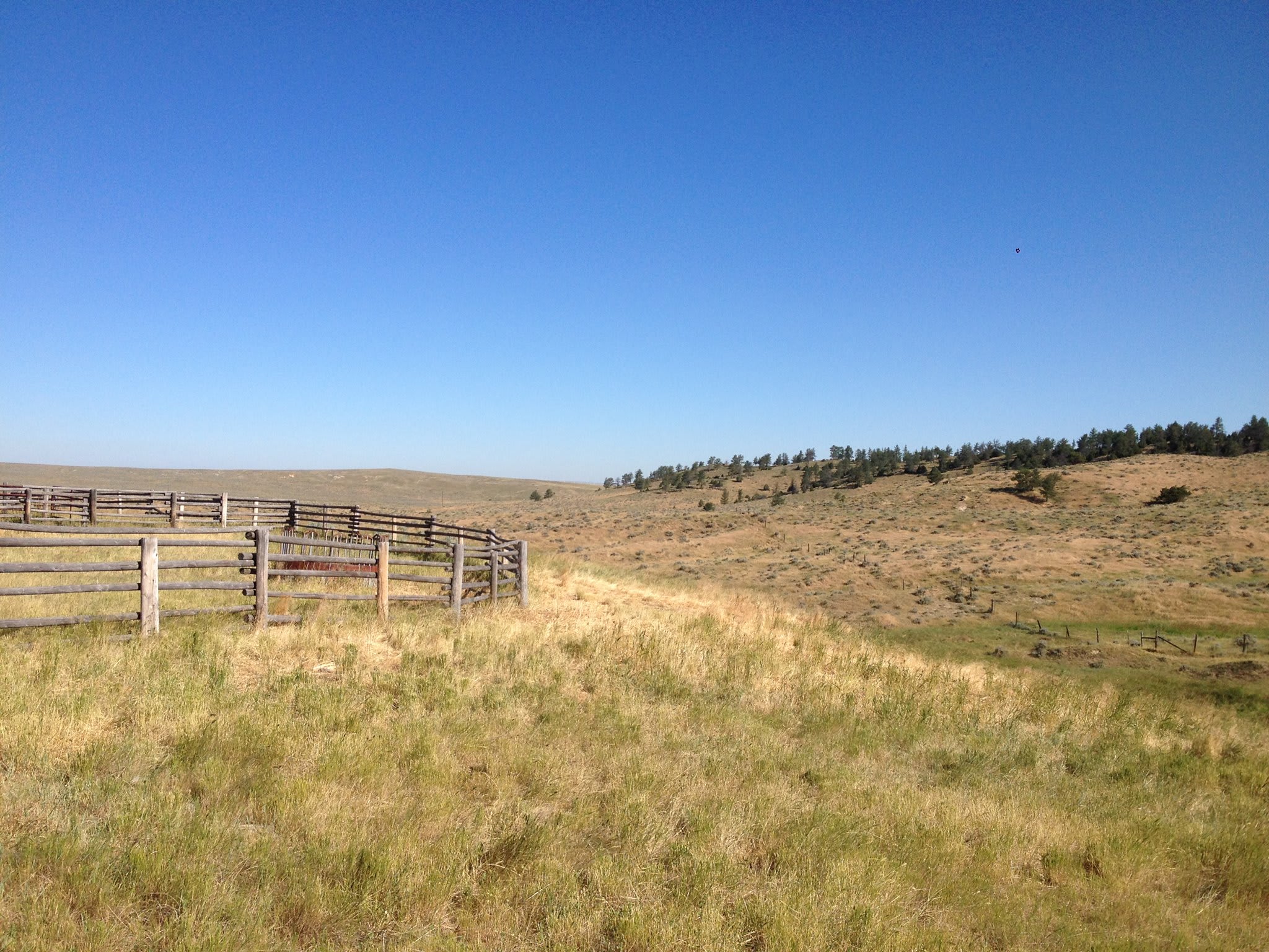 Murphy Family Ranch