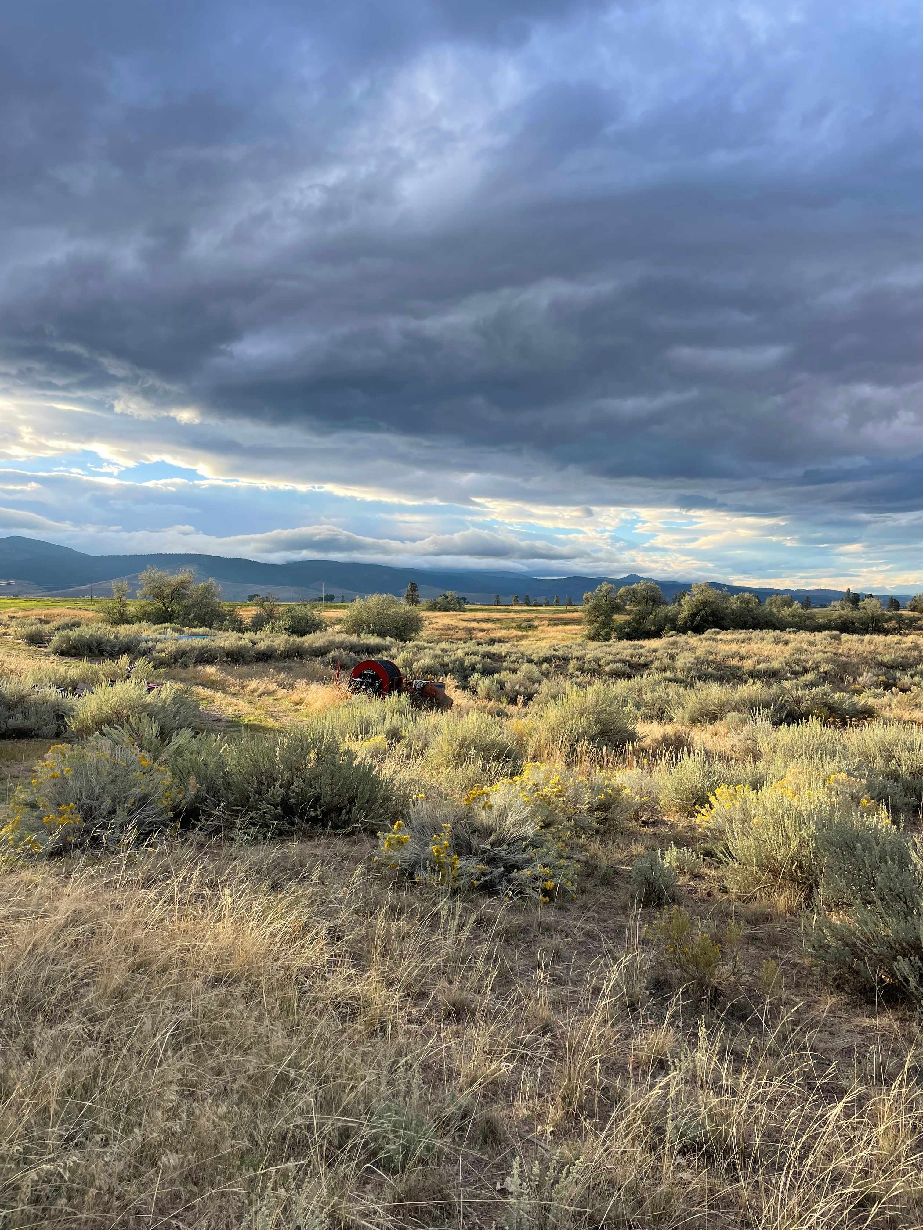 Sage Oasis Garden Retreat