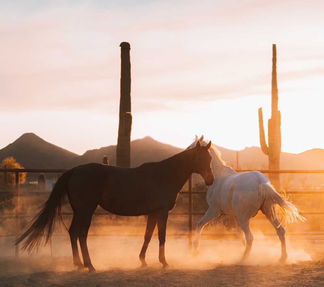 Marguerita Ranch