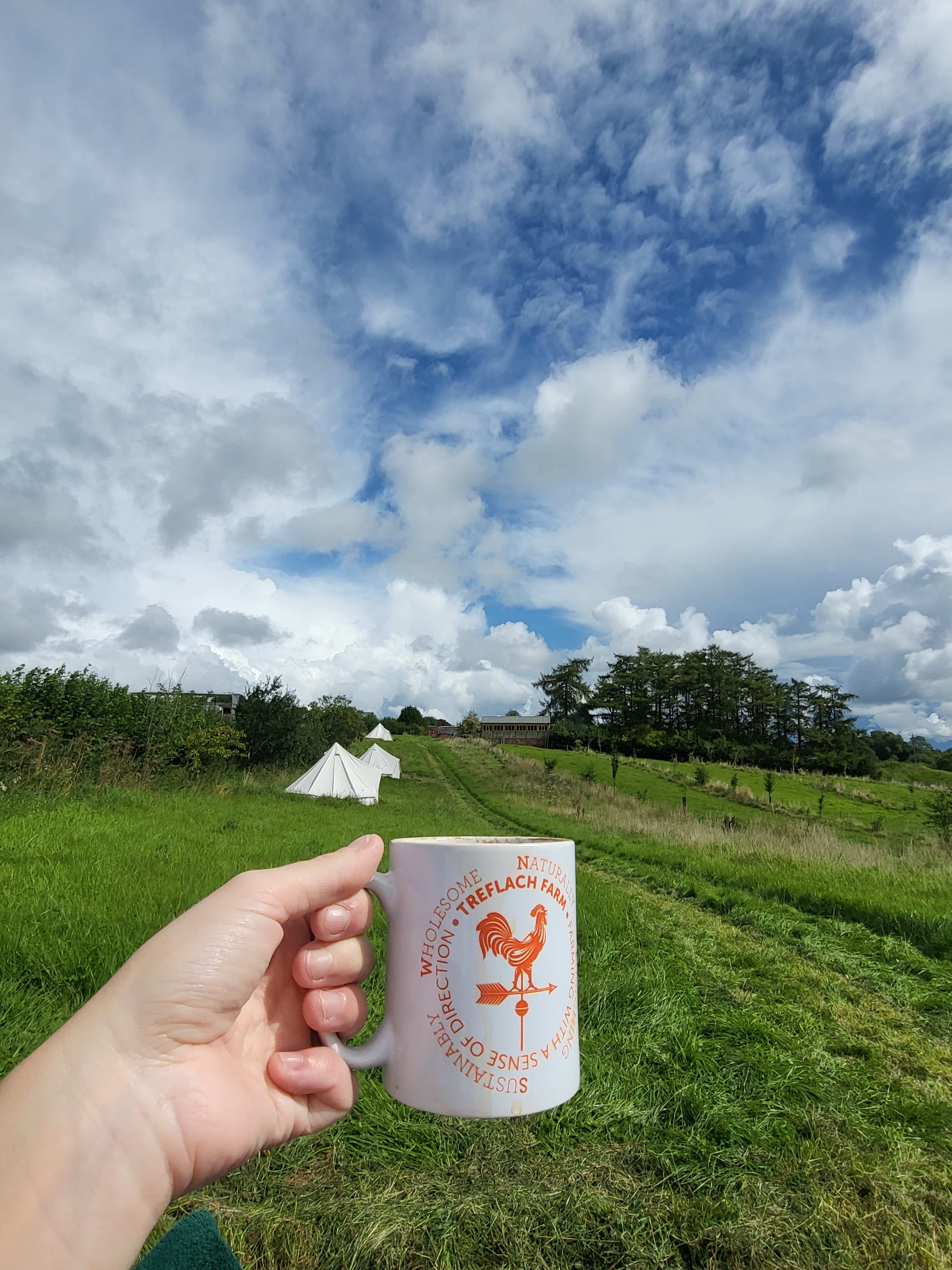 Treflach Farm