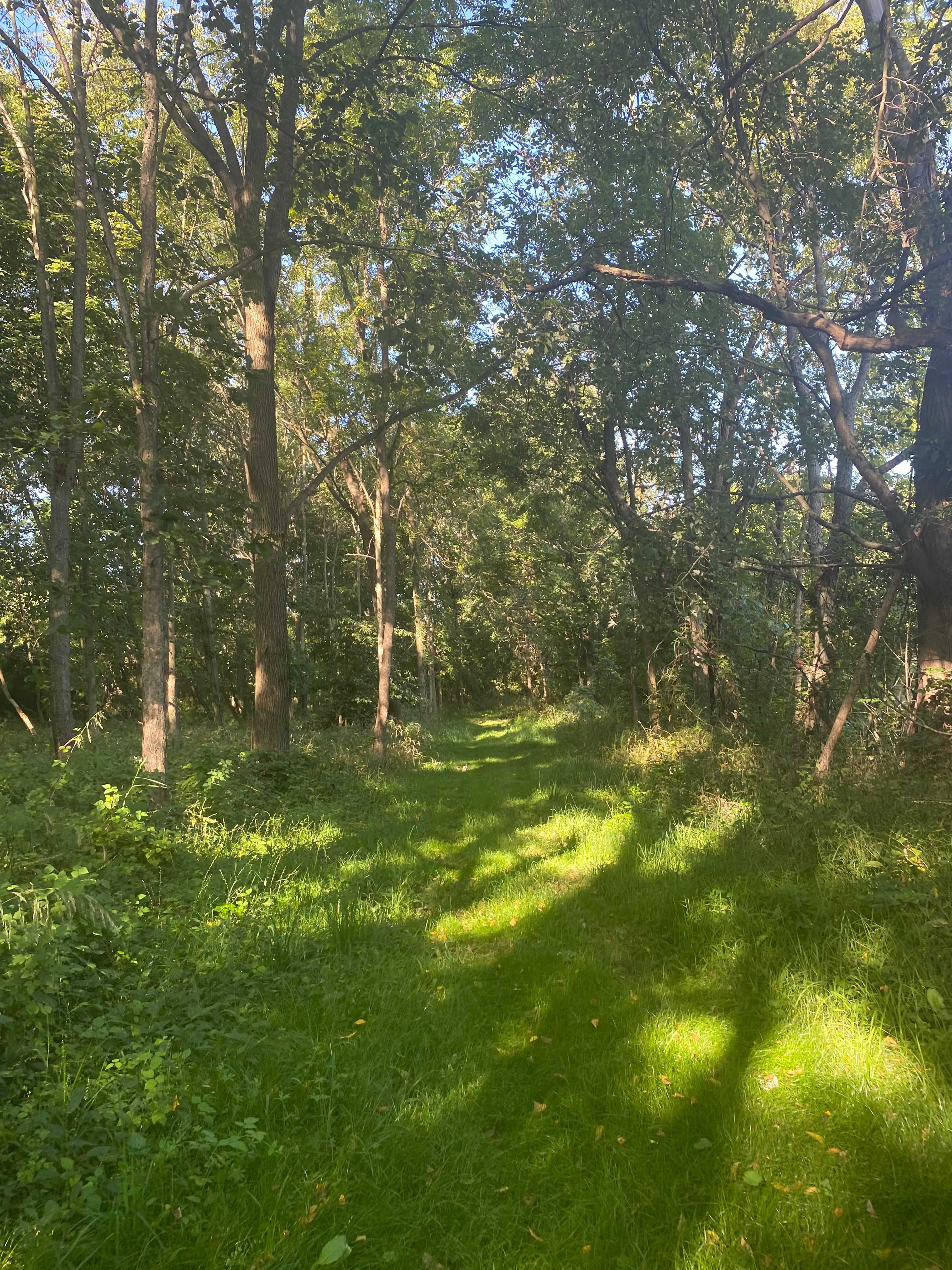 White Pine Farm HipCamping