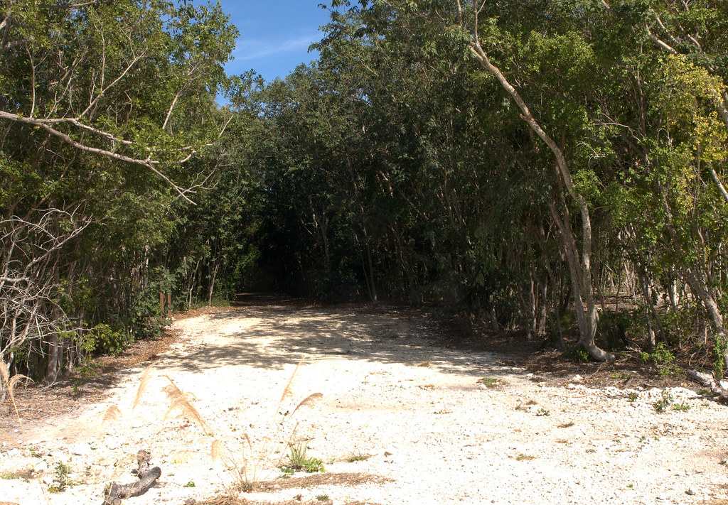 Dagny Johnson Key Largo Hammock Botanical State Park