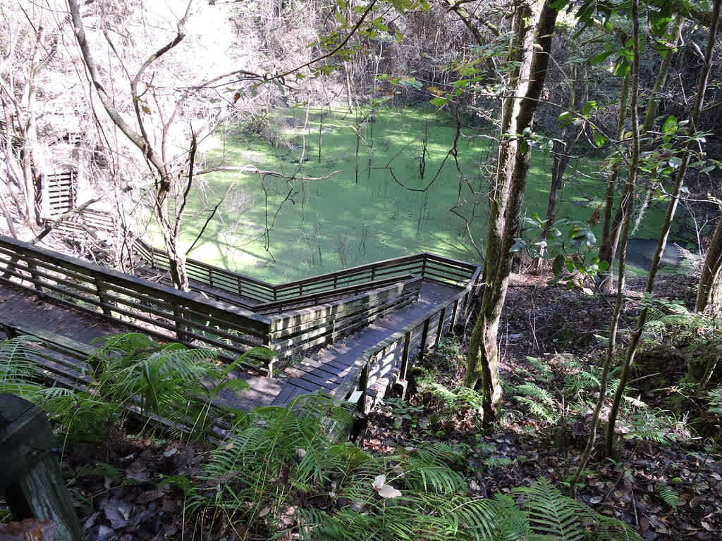 Devil's Millhopper Geological State Park