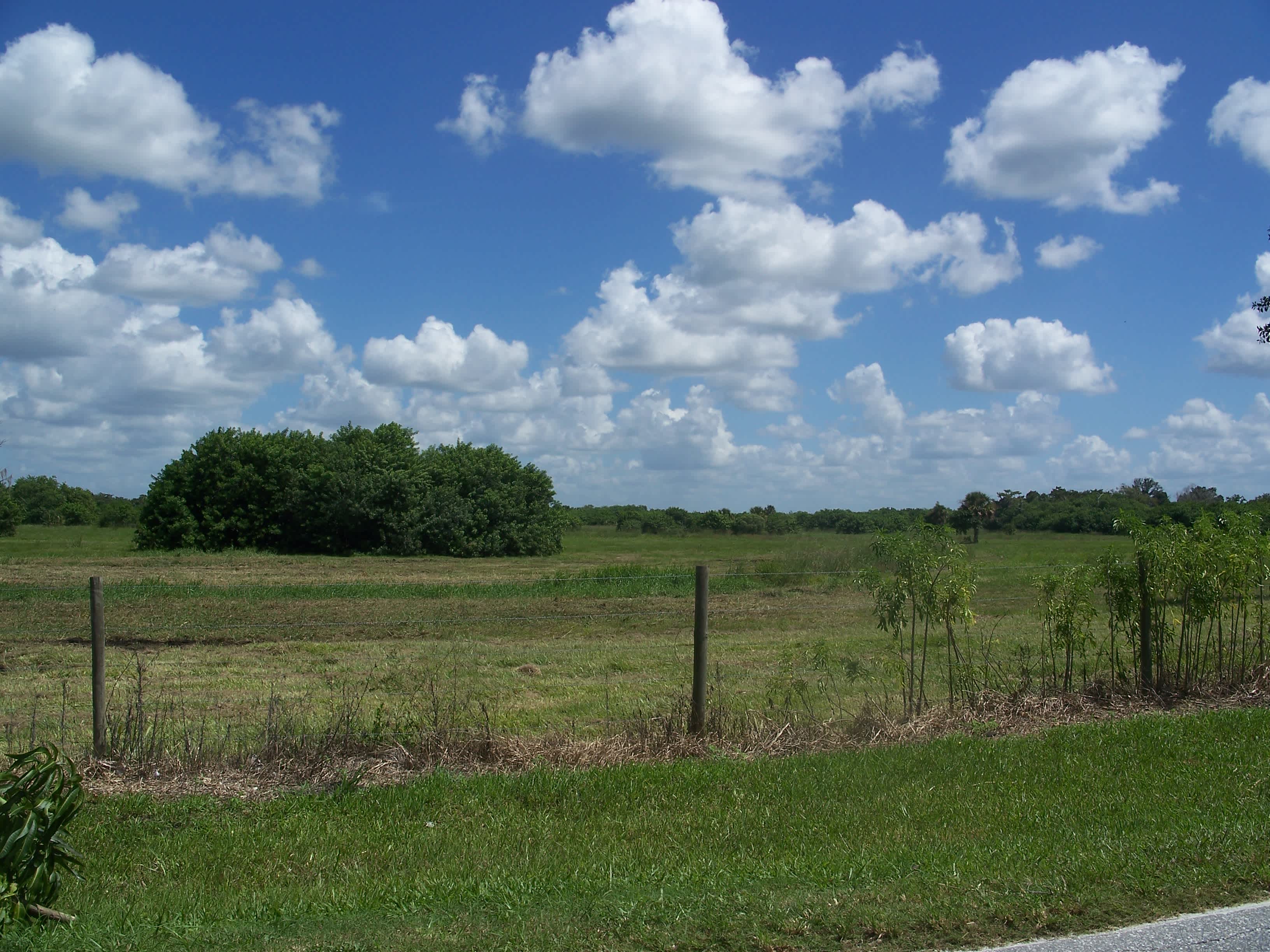 Okeechobee Battlefield Historic State Park