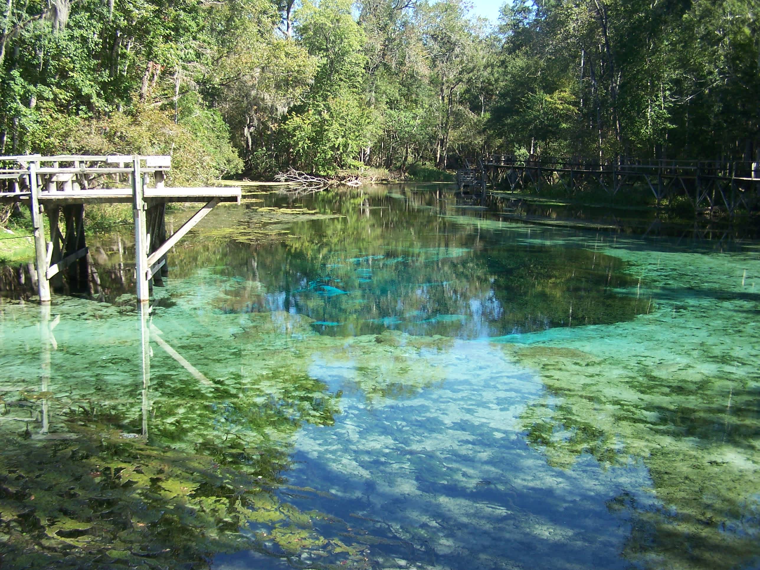 Ruth B. Kirby Gilchrist Blue Springs State Park