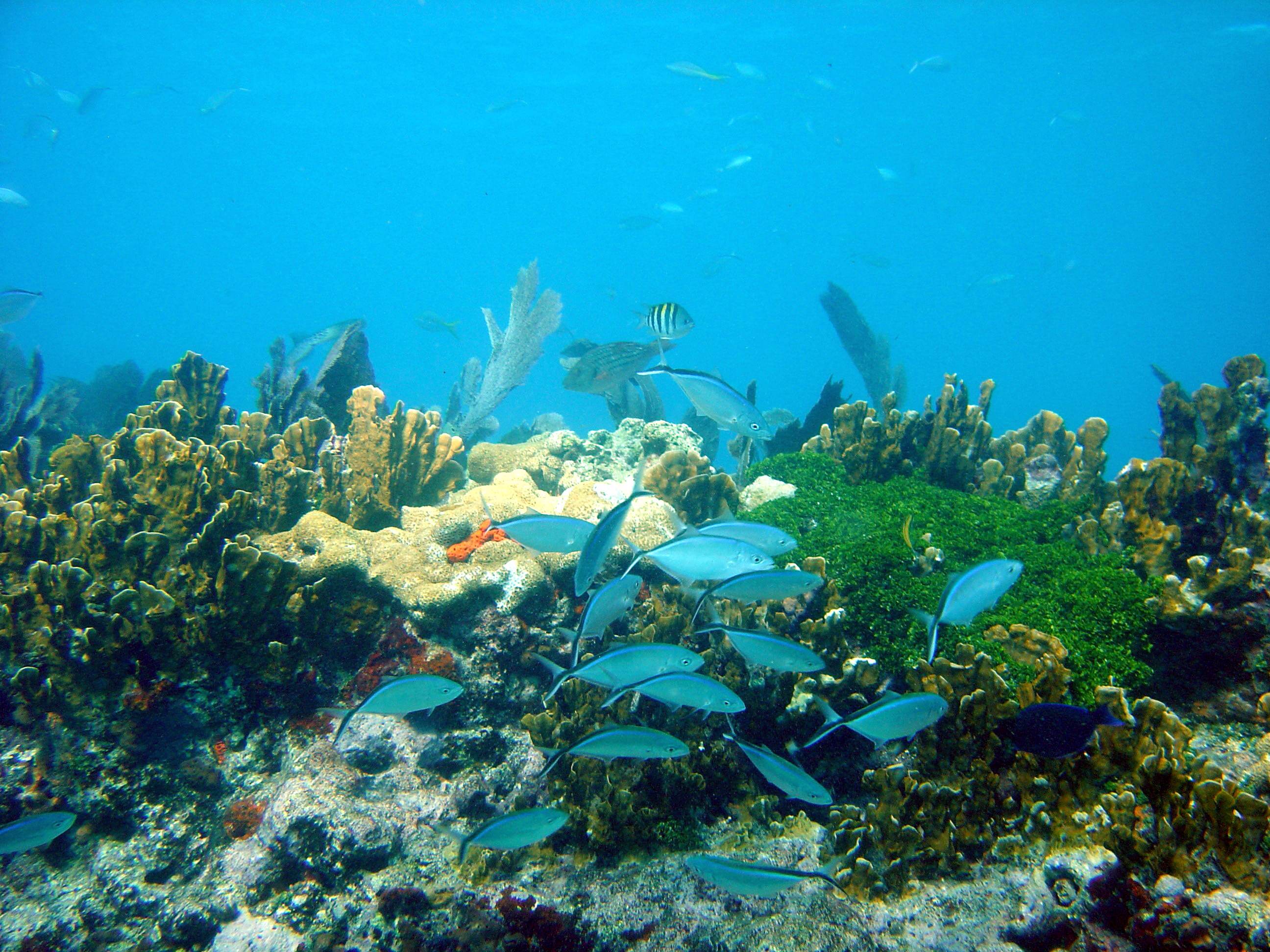 San Pedro Underwater Archaeological Preserve State Park