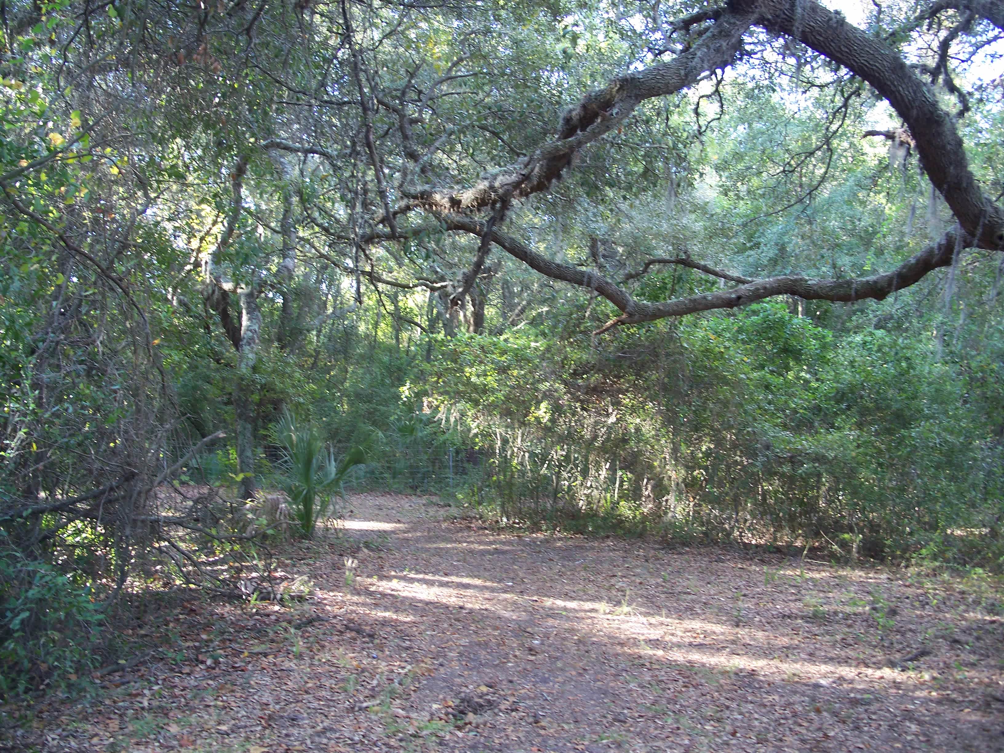 Yellow Bluff Fort Historic State Park