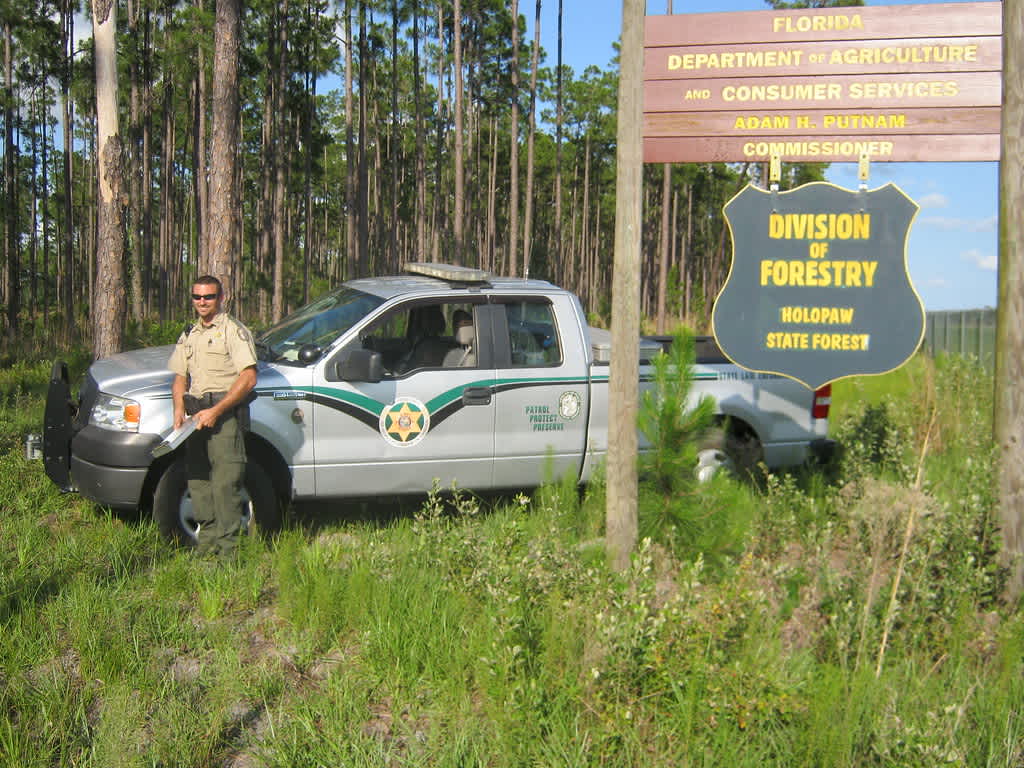 Holopaw State Forest