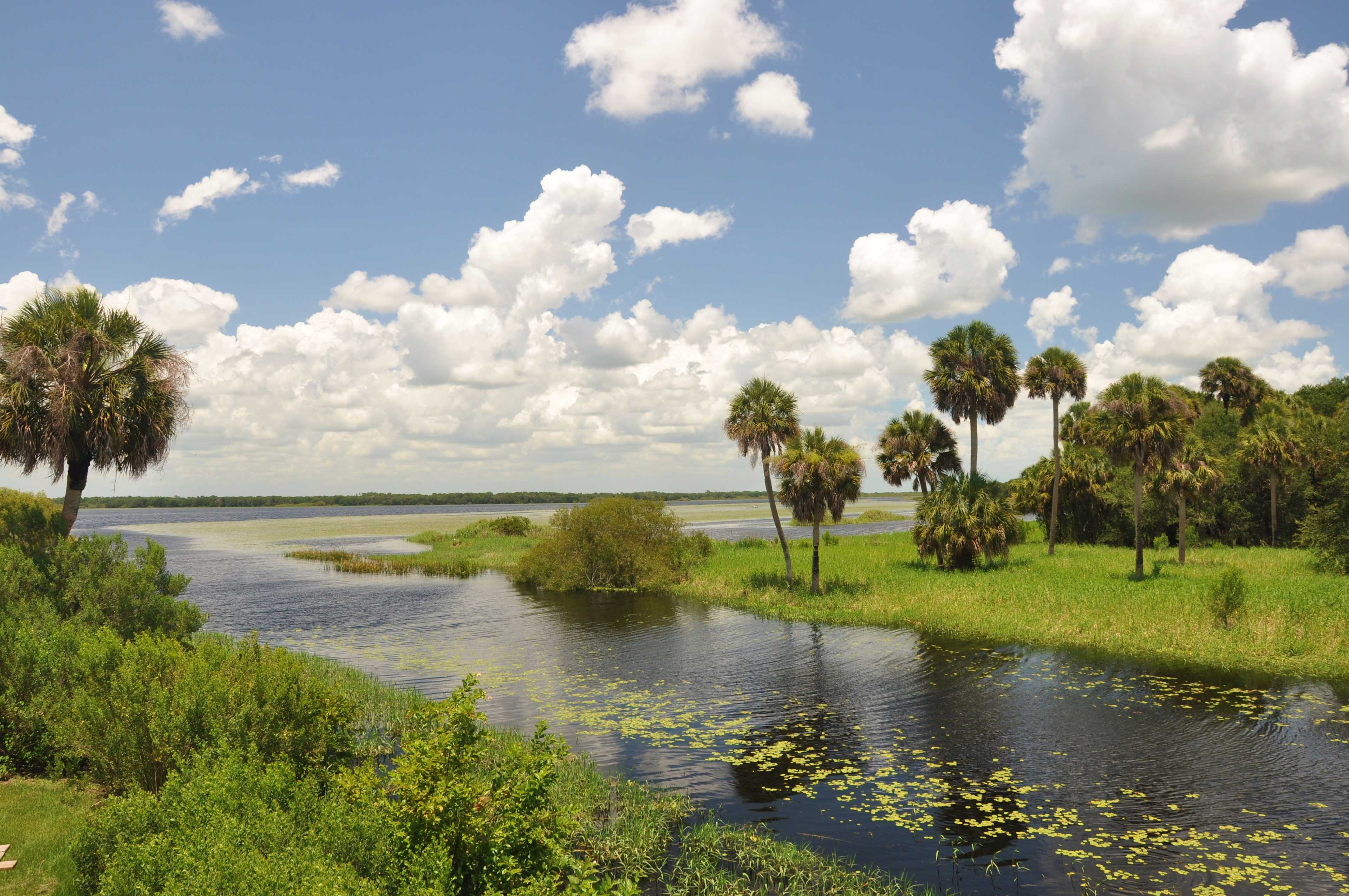 Myakka State Forest