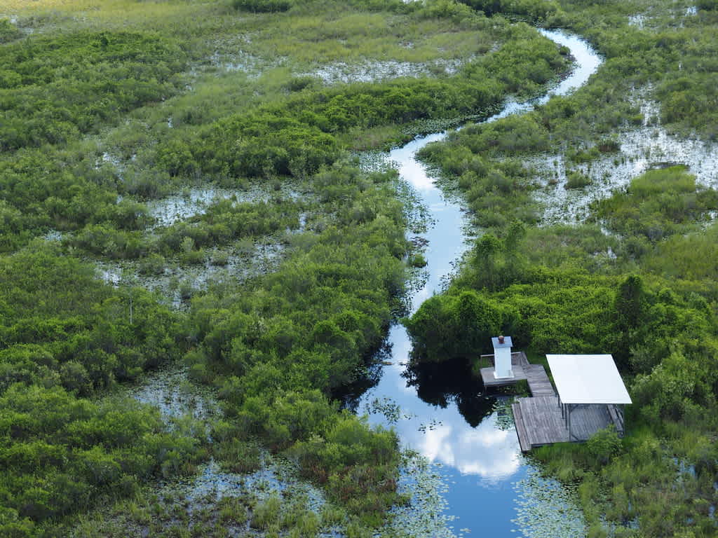 Okefenokee National Wildlife Refuge