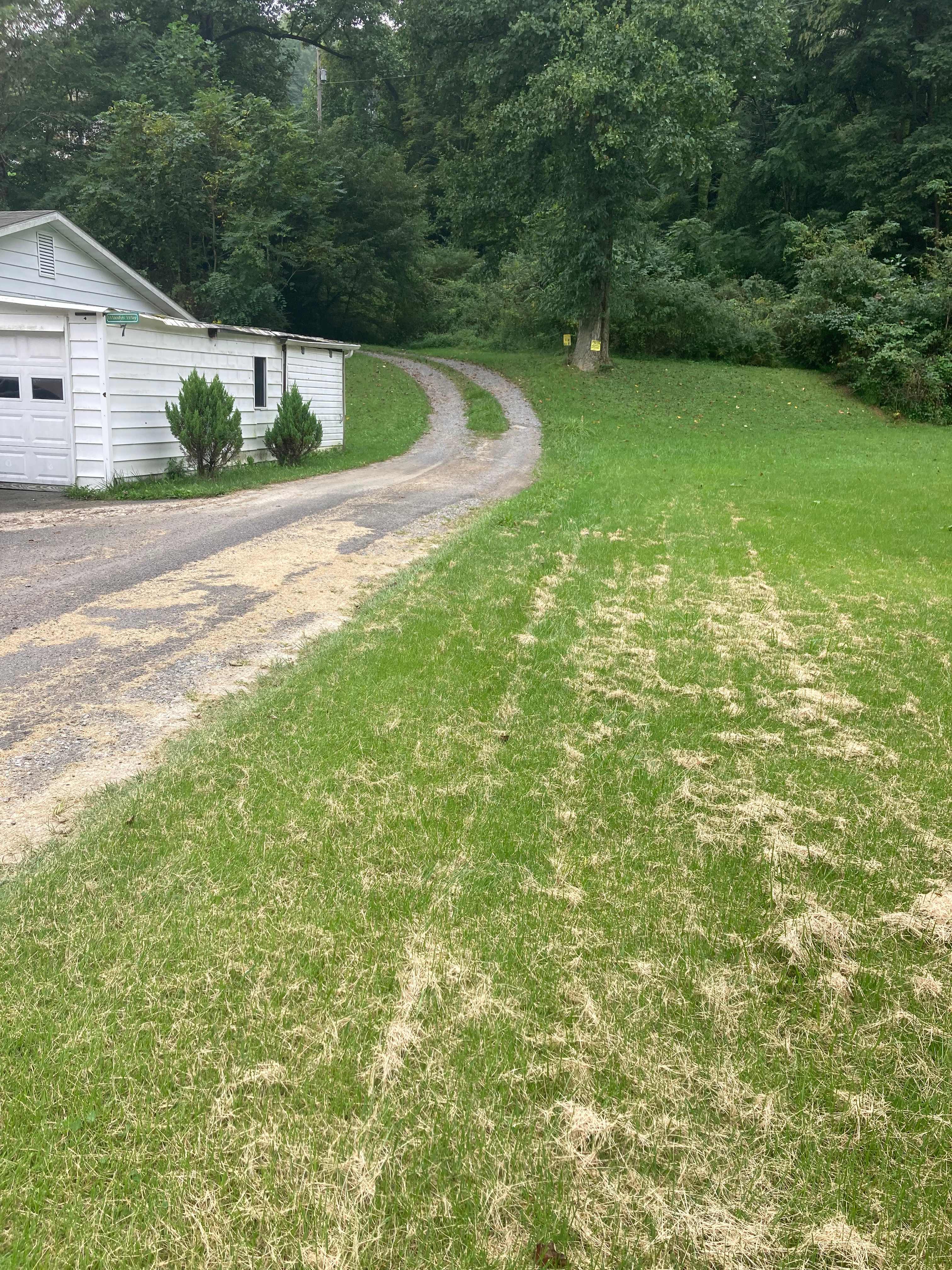 McShea's Land